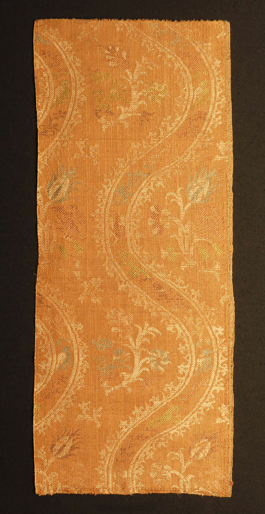 MAK/Branislav Djordjevic