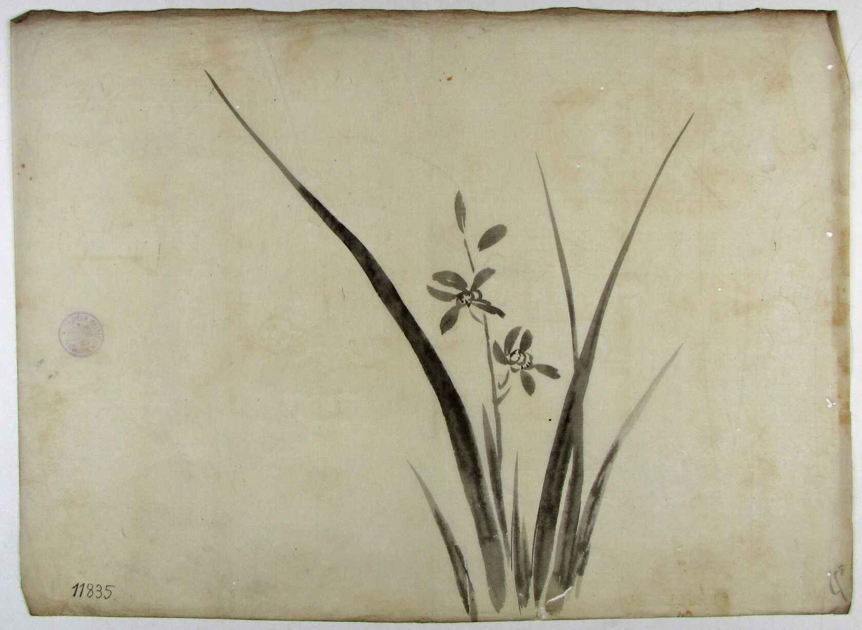 MAK/Johannes Wieninger