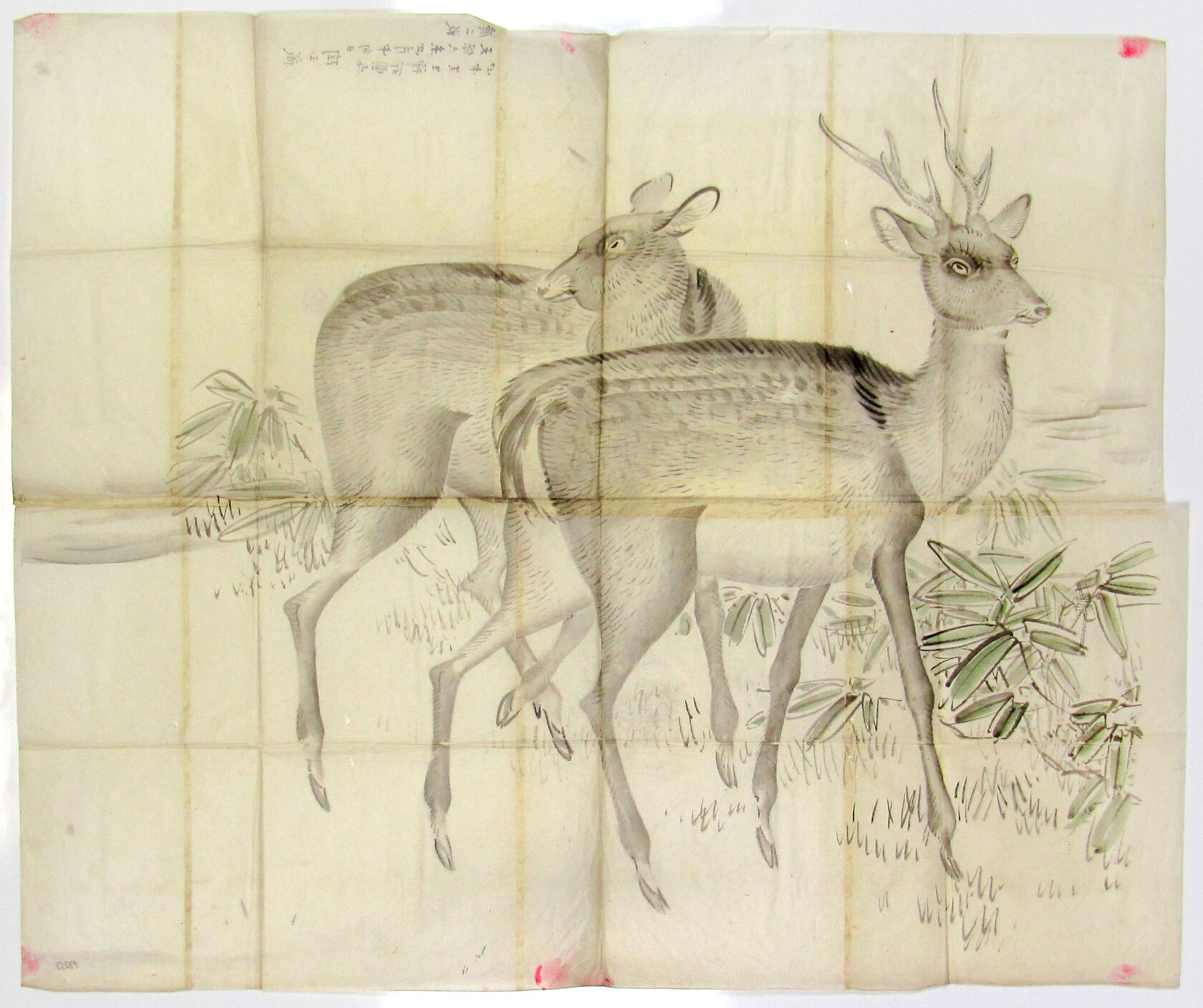 MAK/Johannes Wieninger