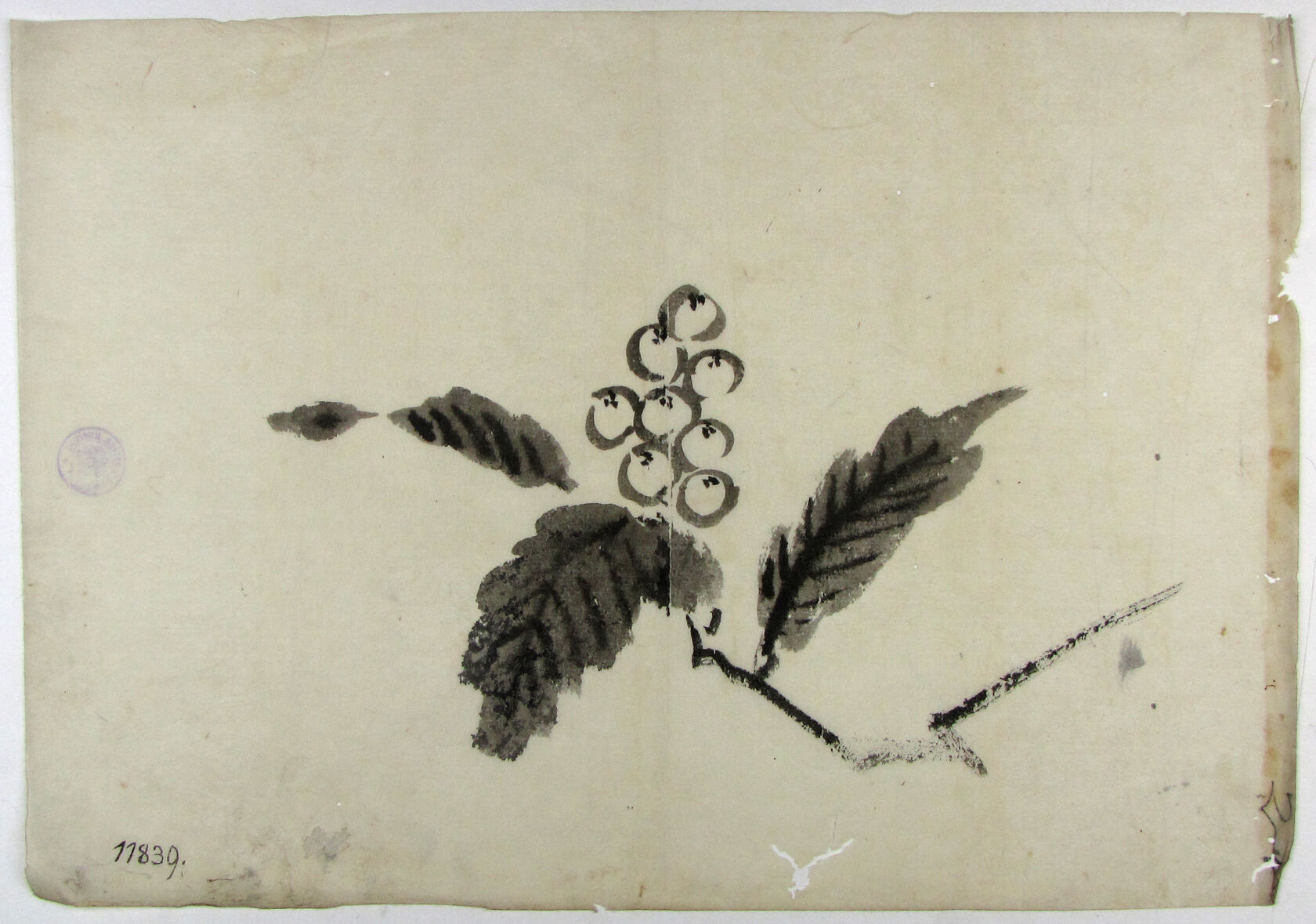 MAK/Johannes Wieninger