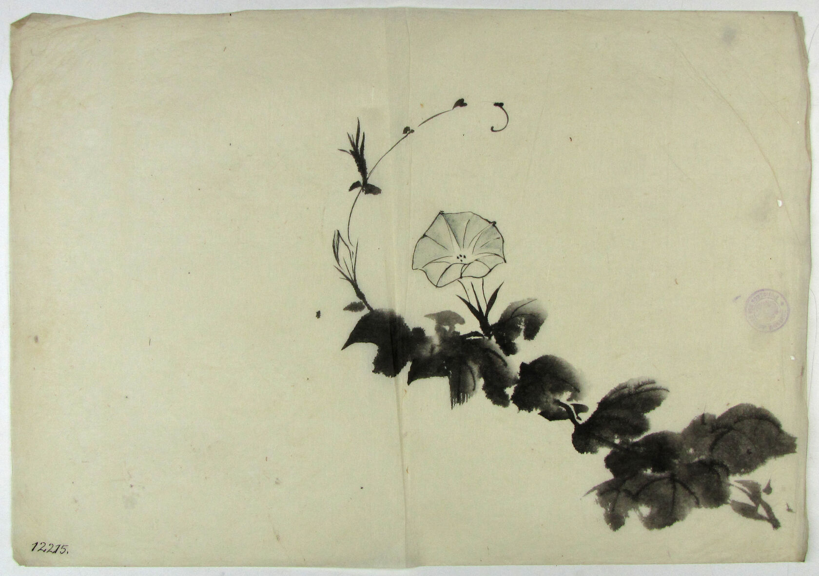 MAK/Johannes Wieninger