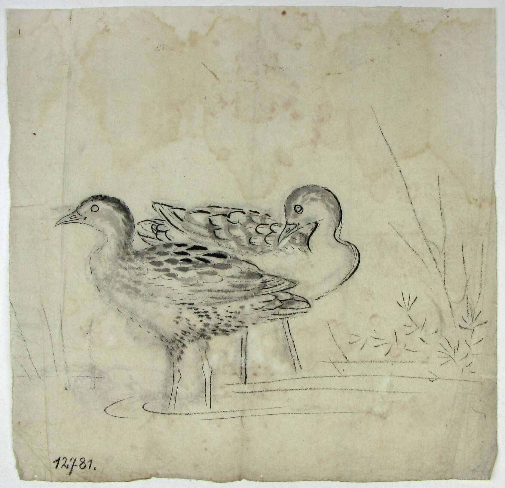 MAK/Johannes Wieninger