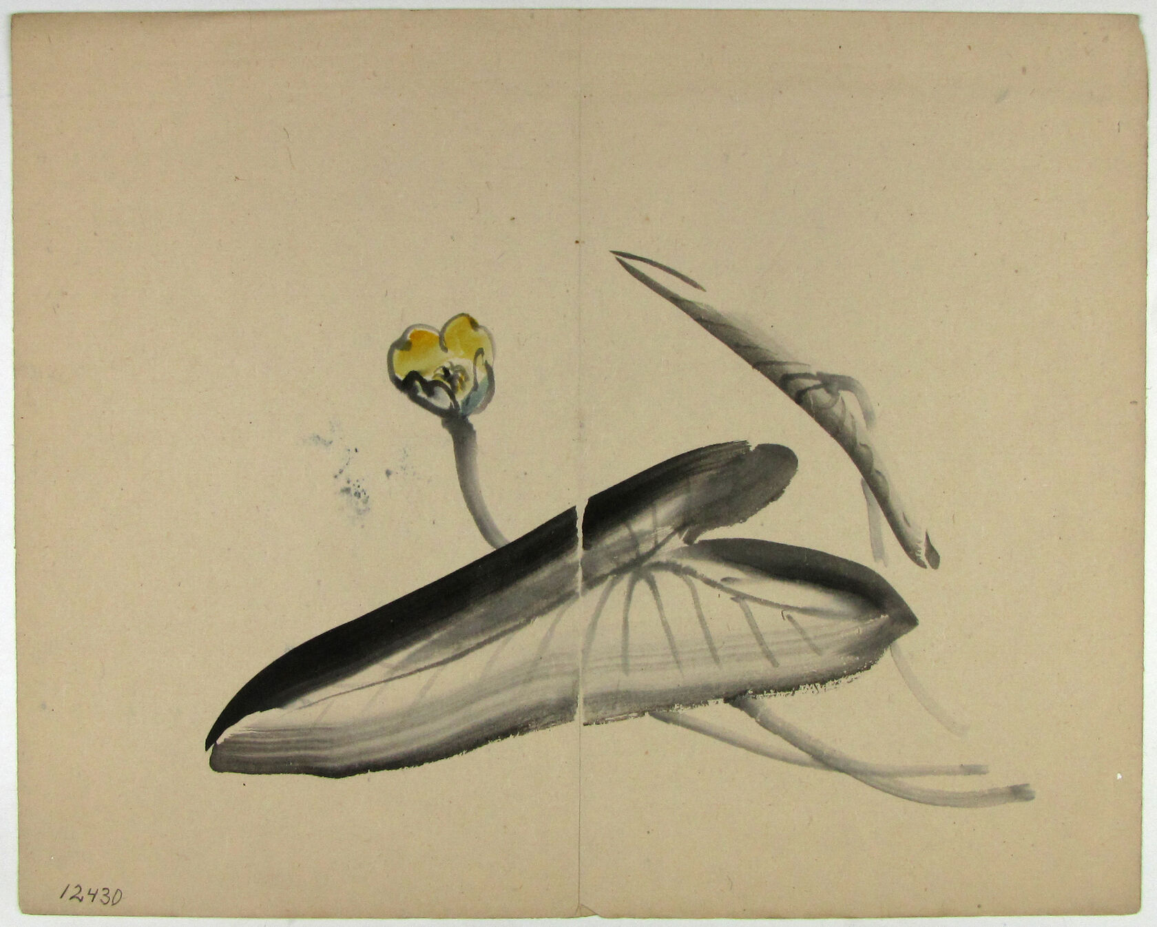 MAK/Johannes Wieninger
