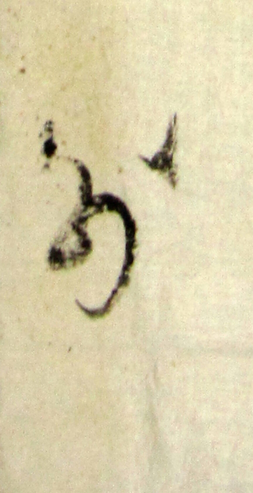 MAK/Johannes Wieninger