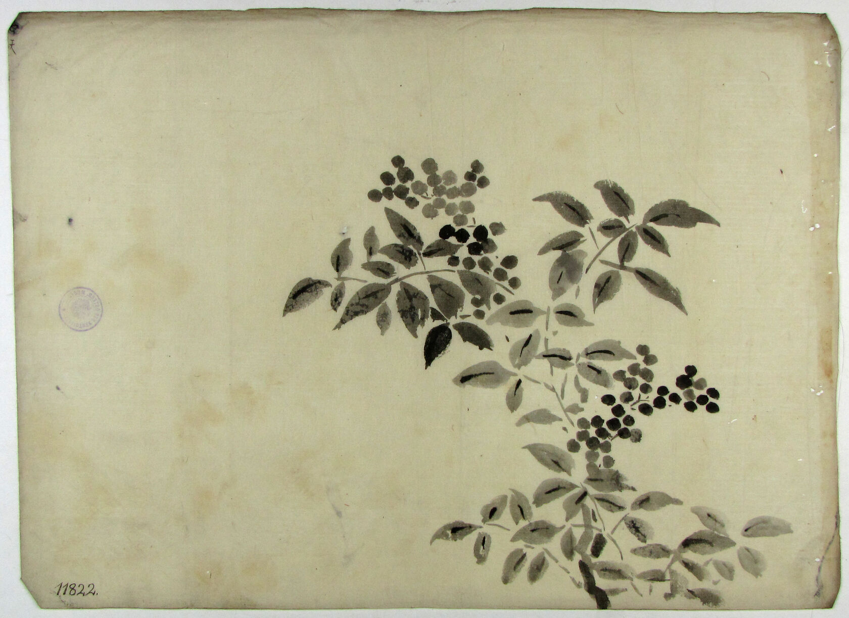 MAK/Johannes Wieninger