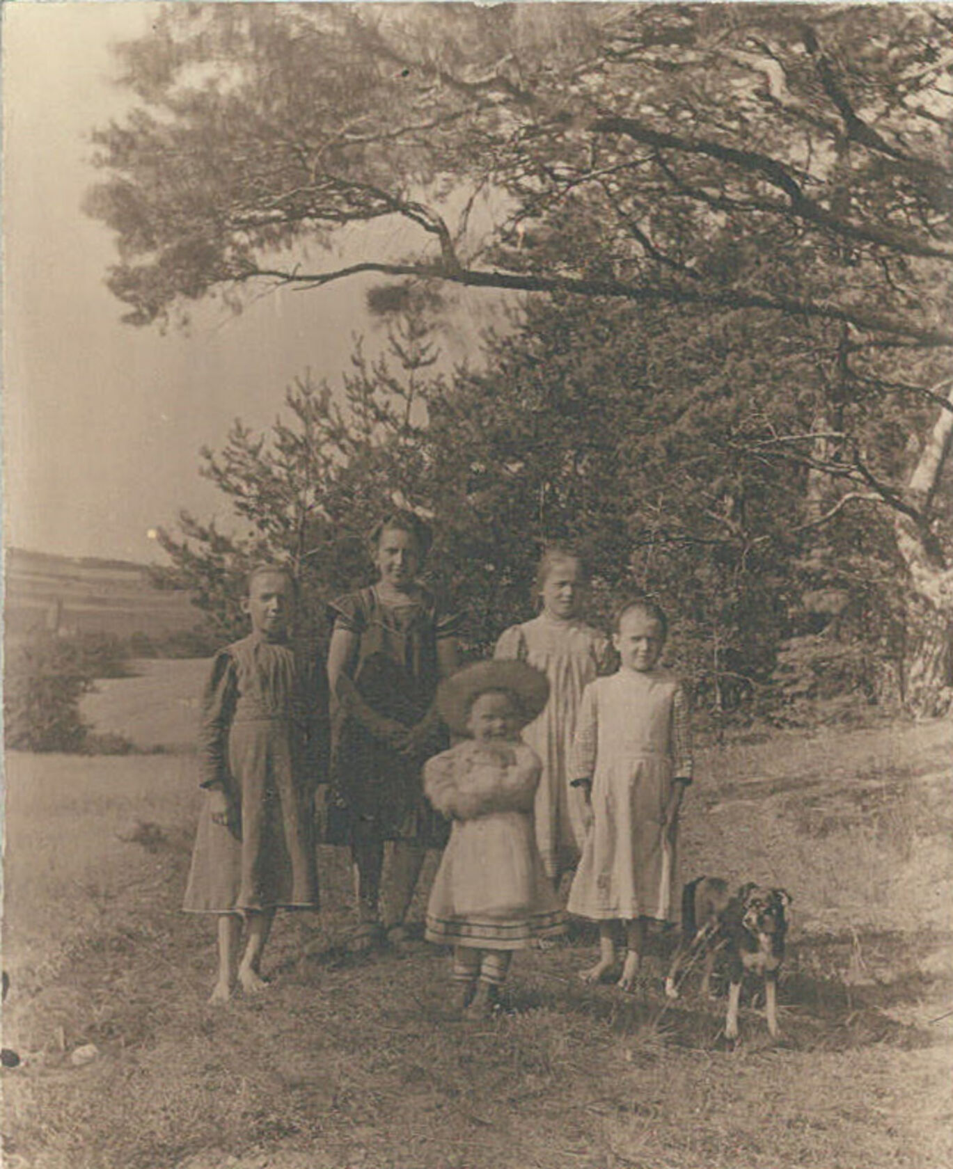 MAK, Legat Carla und Joseph Binder