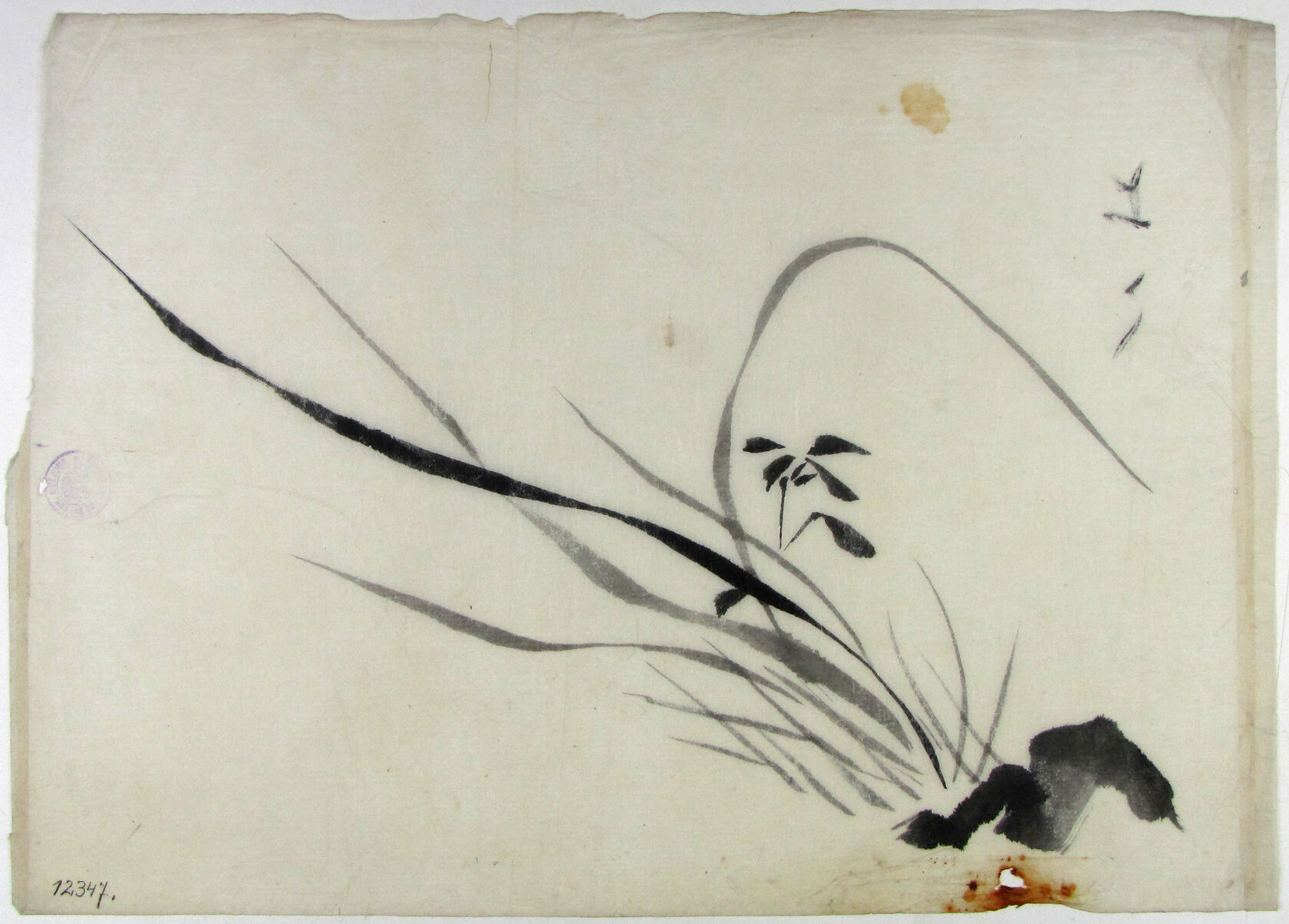 MAK/Johannes Wieninger