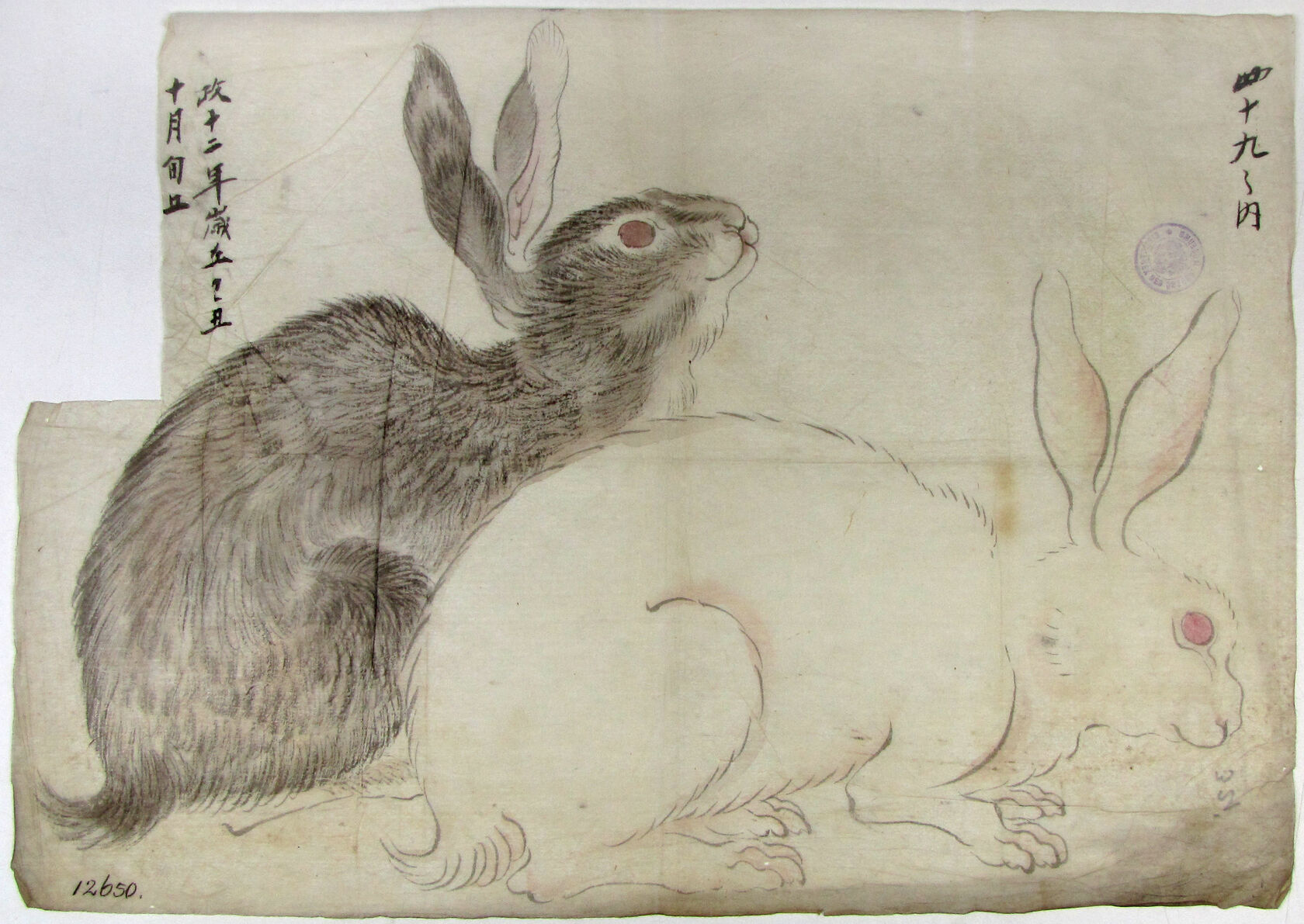 MAK/Johannes Wieninger
