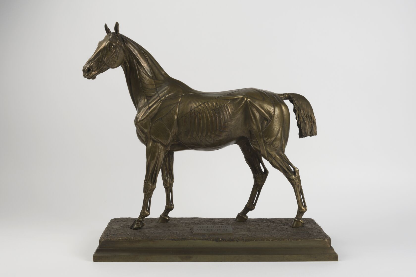 MAK/Aslan Kudrnofsky