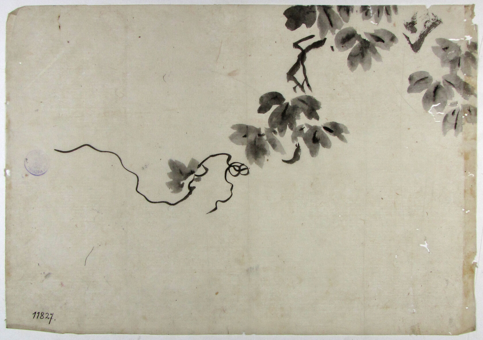 MAK/Johannes Wieninger