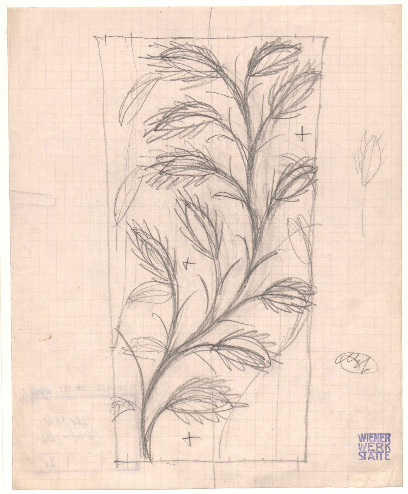MAK