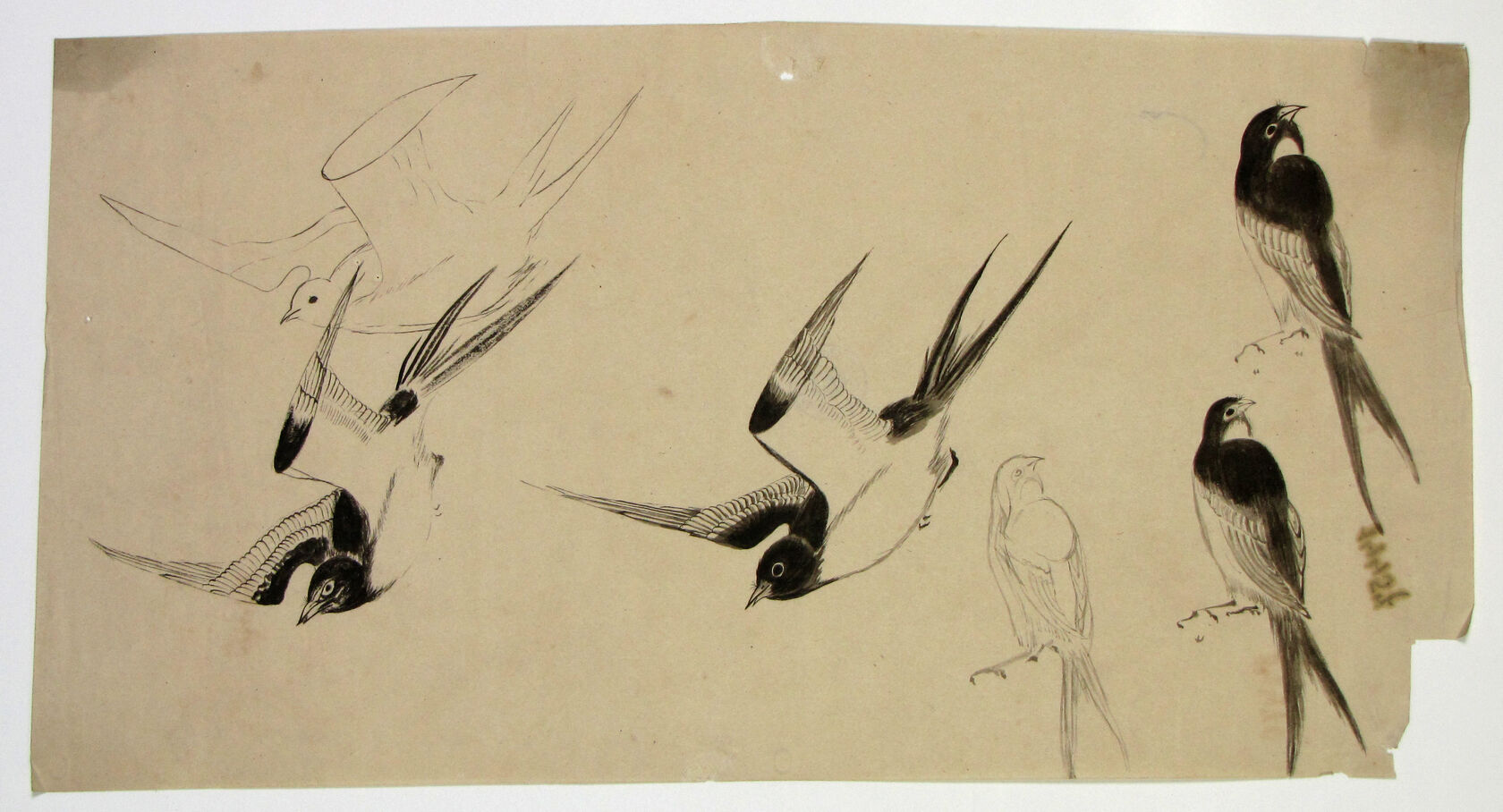MAK/Johannes Wieninger