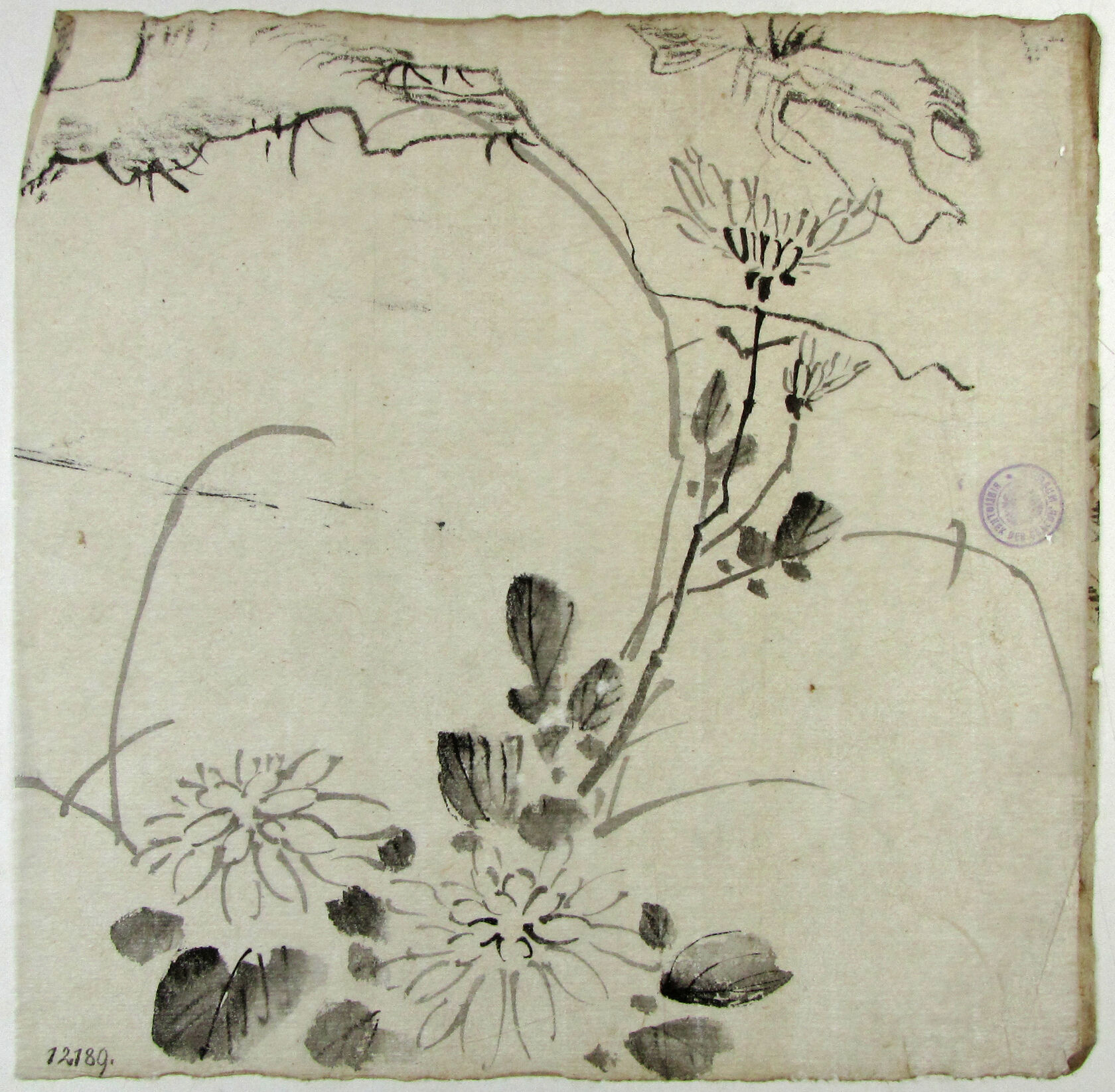 MAK/Johannes Wieninger