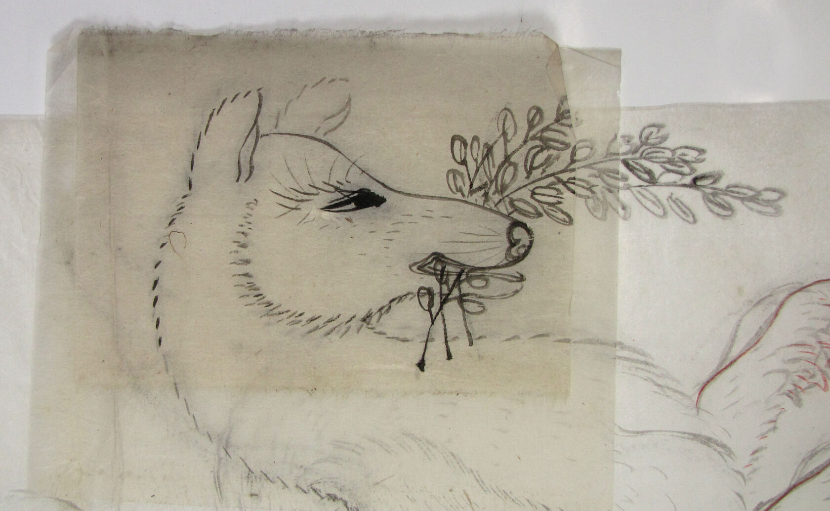 MAK/Johannes Wieninger