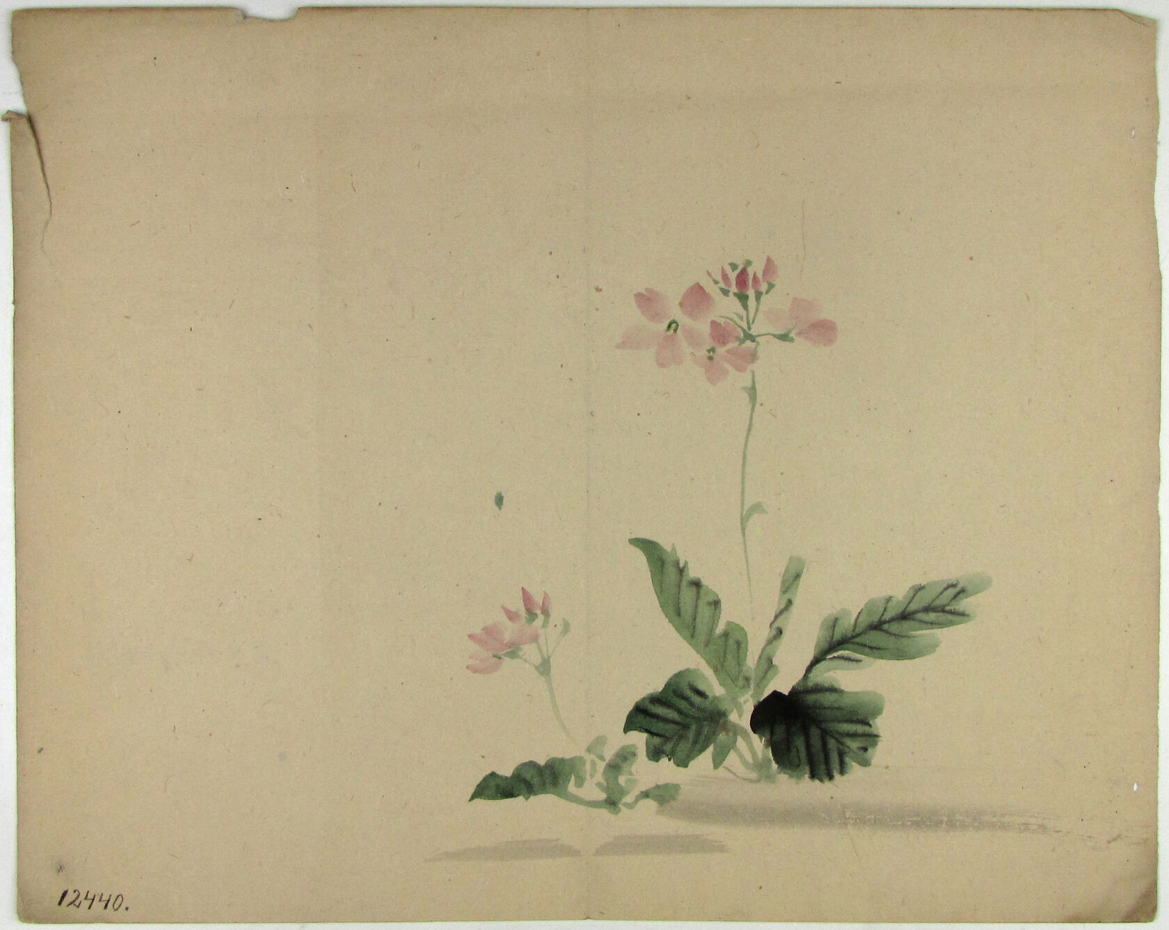 MAK/Johannes Wieninger