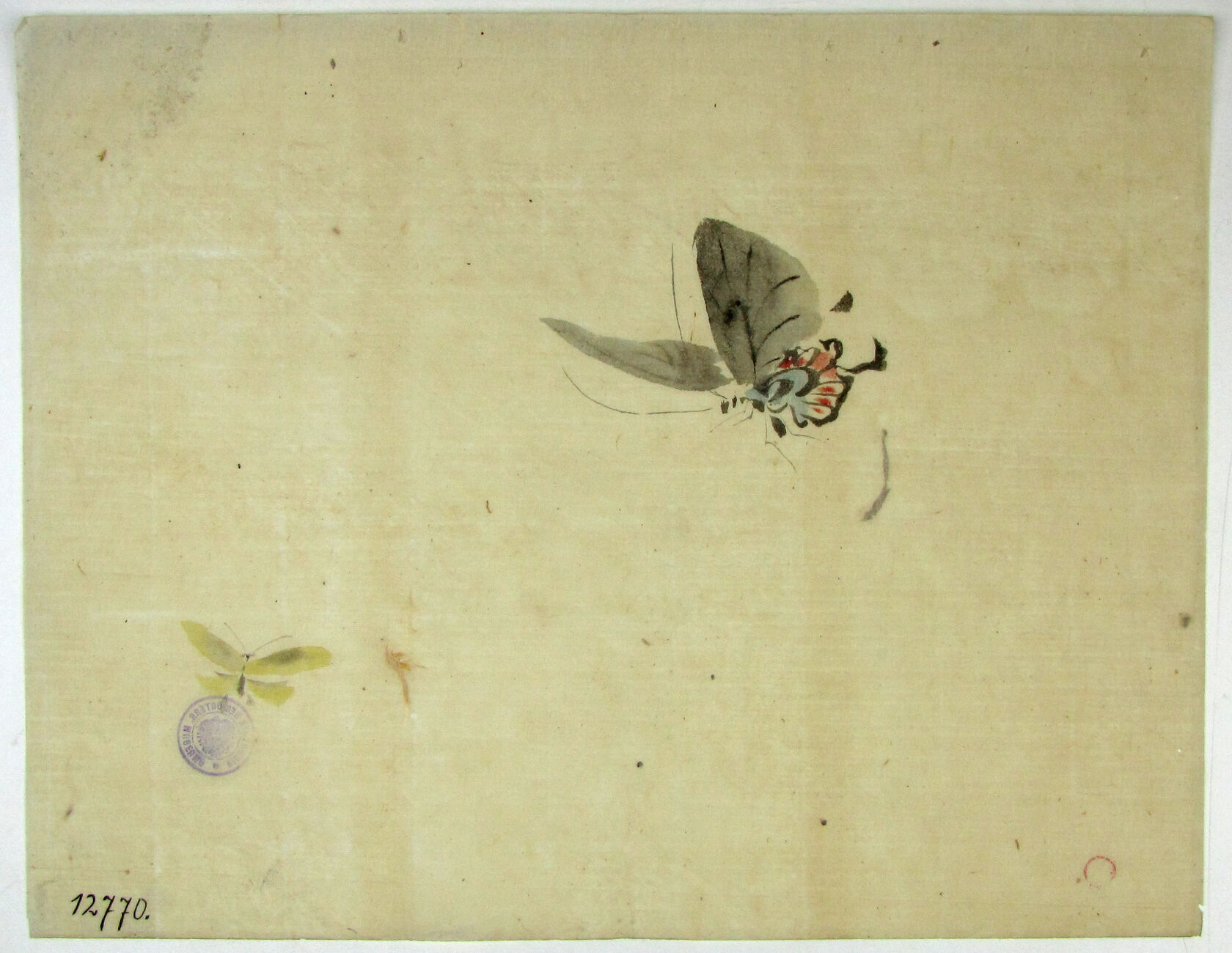 MAK/Johannes Wieninger