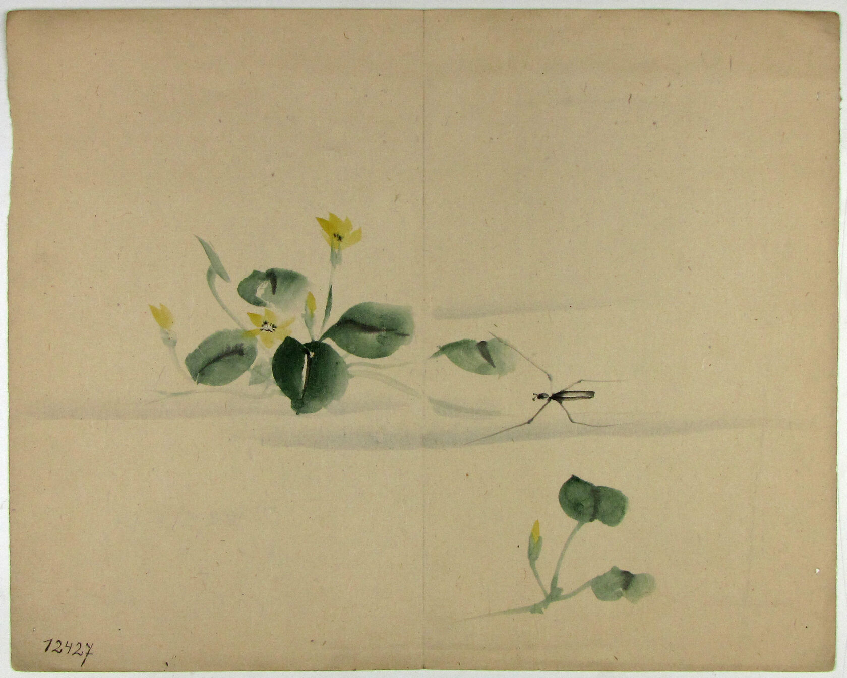 MAK/Johannes Wieninger