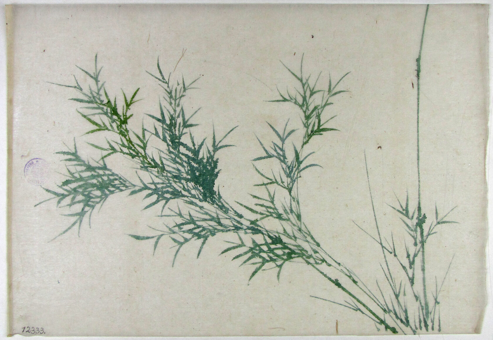 MAK/Johannes Wieninger
