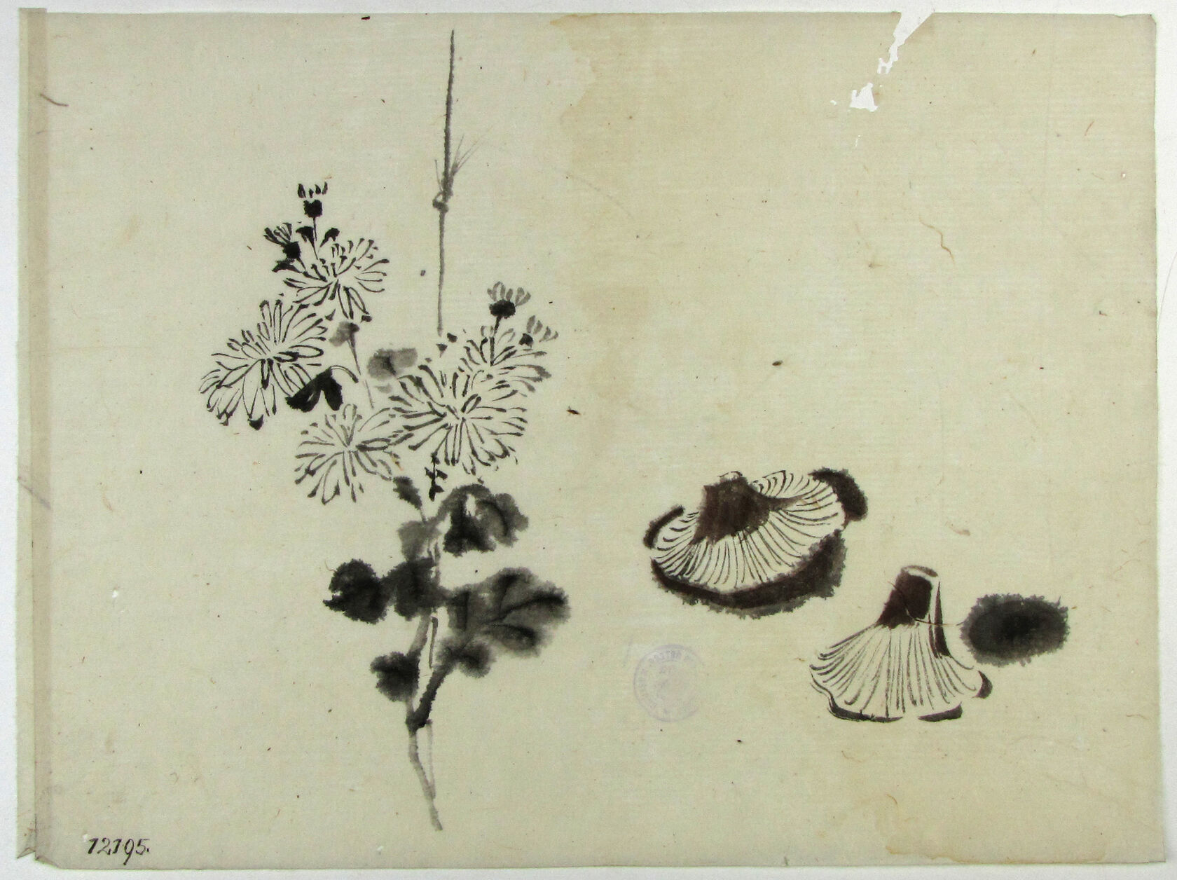 MAK/Johannes Wieninger