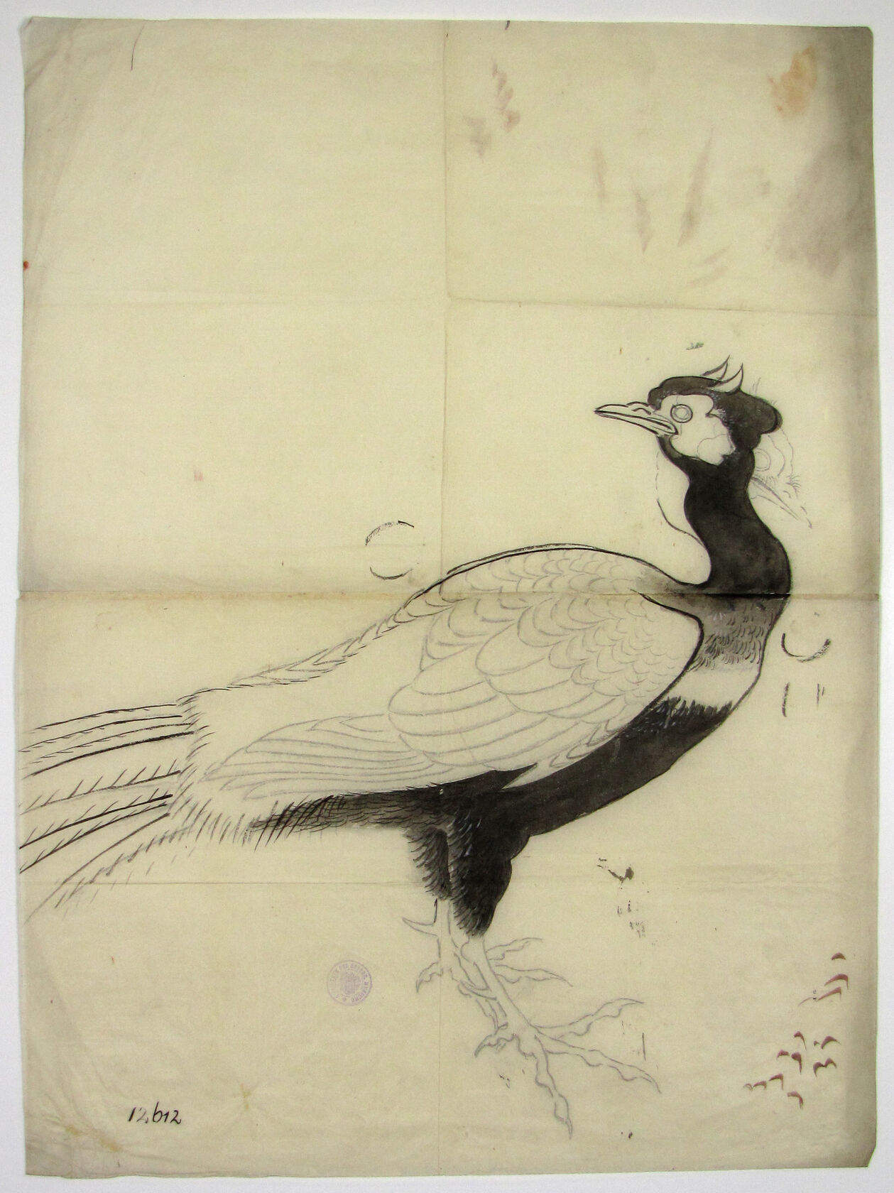 MAK/Johannes Wieninger