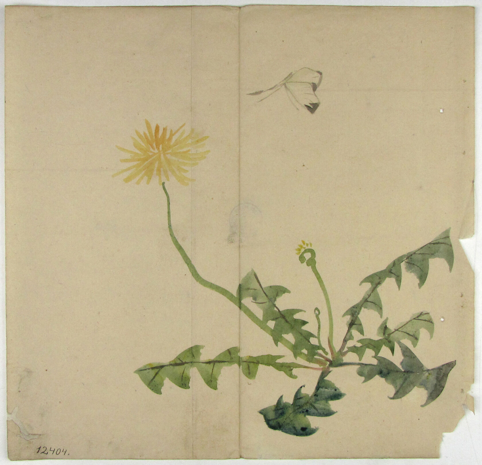 MAK/Johannes Wieninger