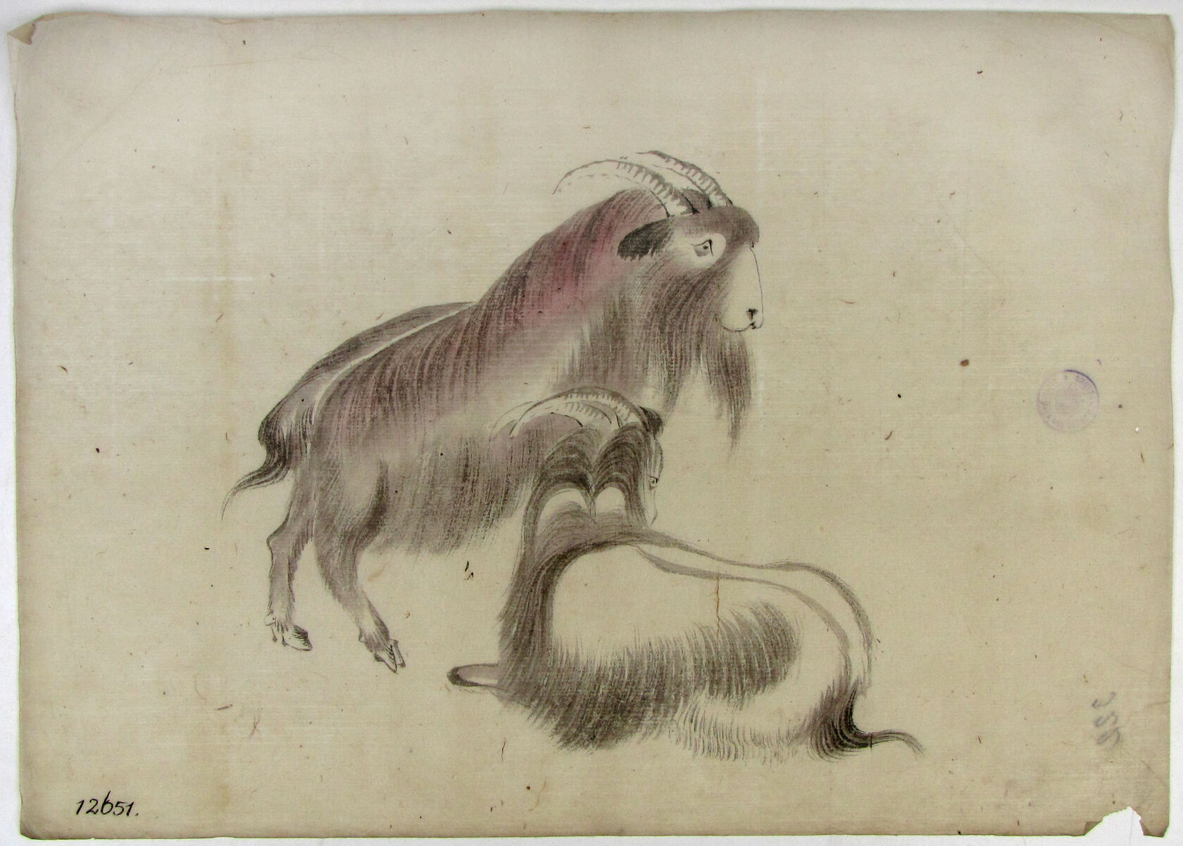 MAK/Johannes Wieninger