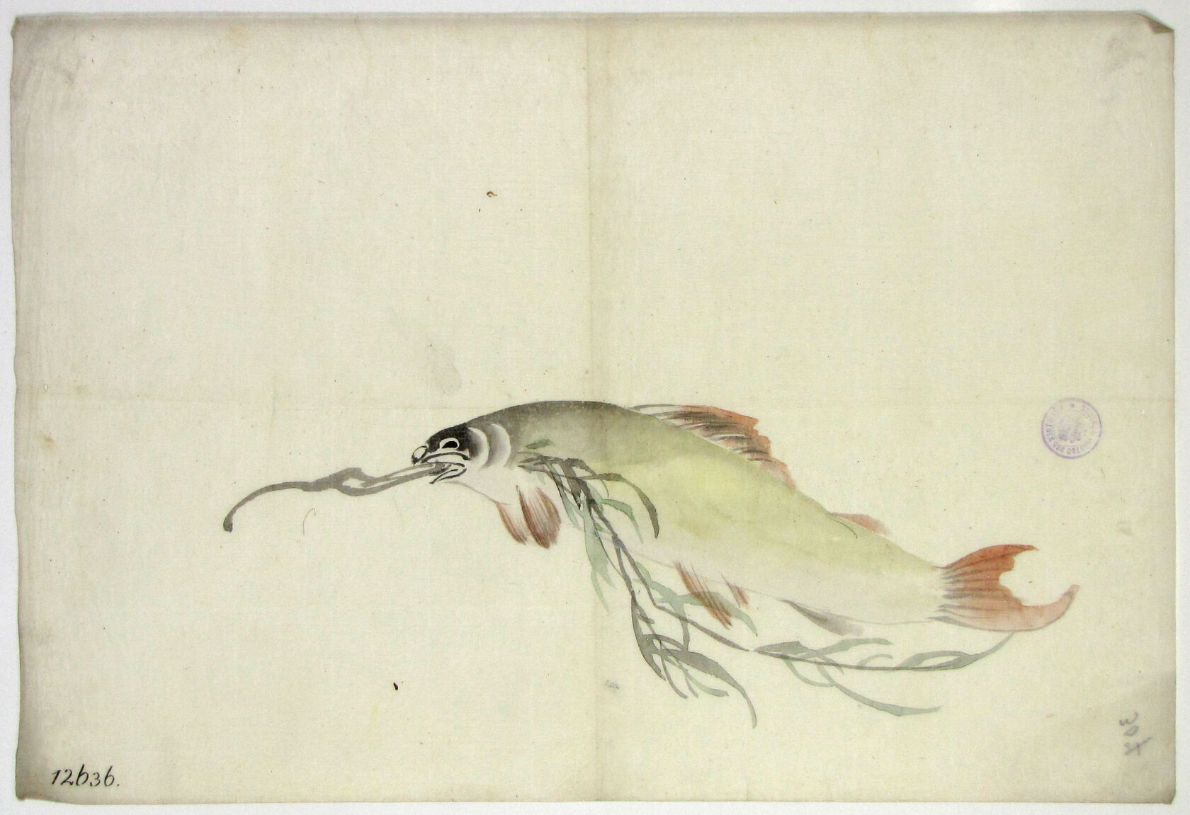 MAK/Johannes Wieninger