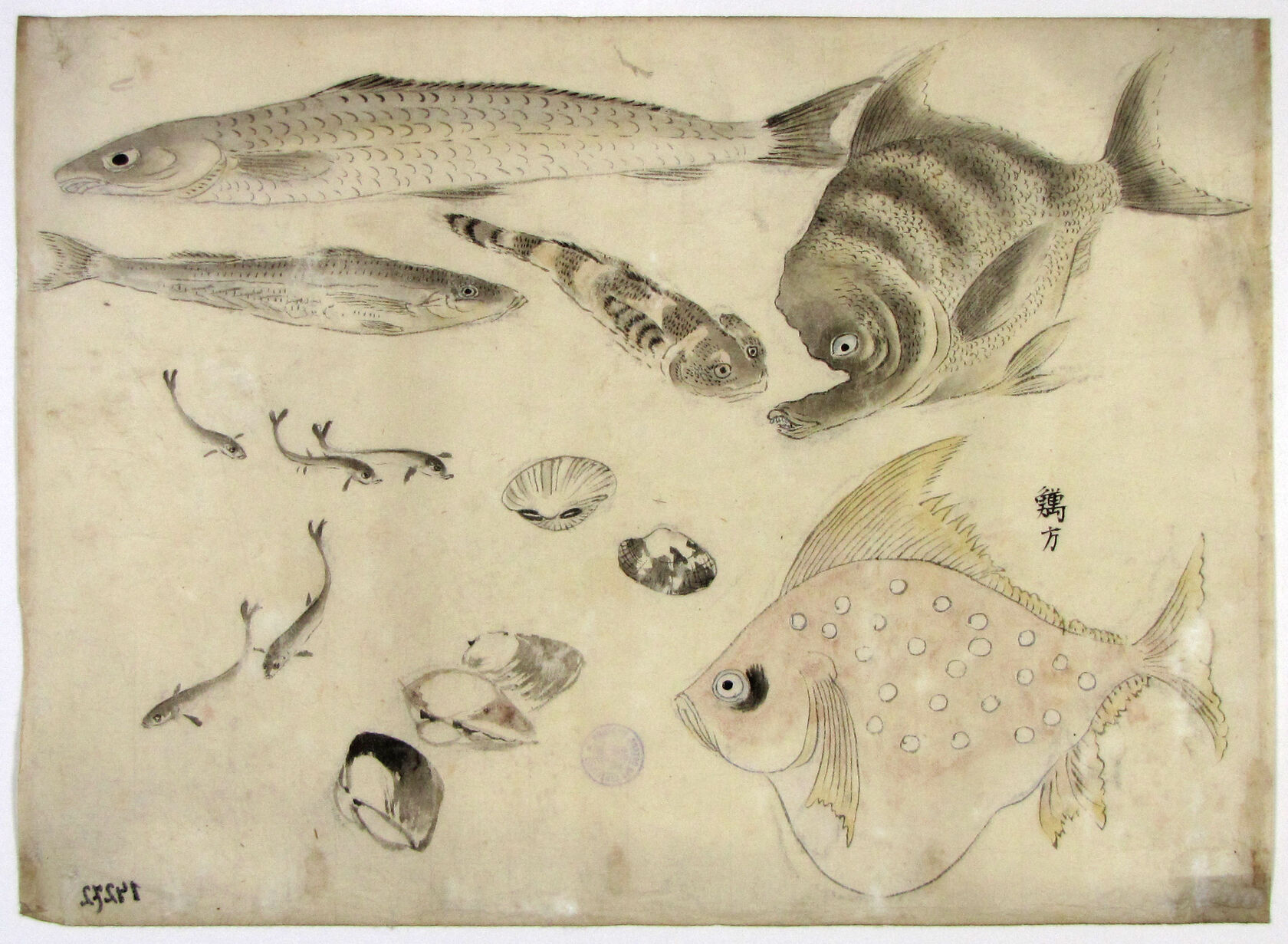MAK/Johannes Wieninger