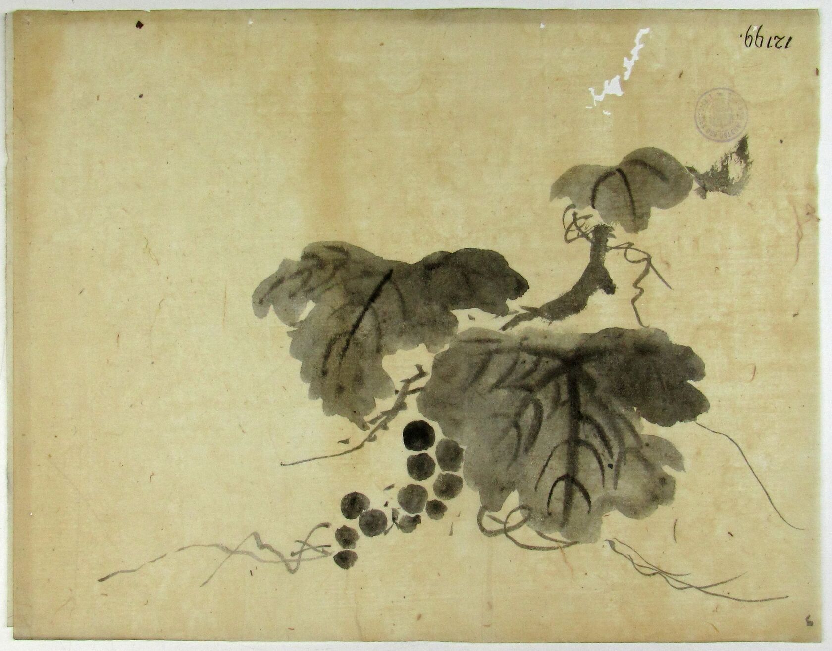 MAK/Johannes Wieninger