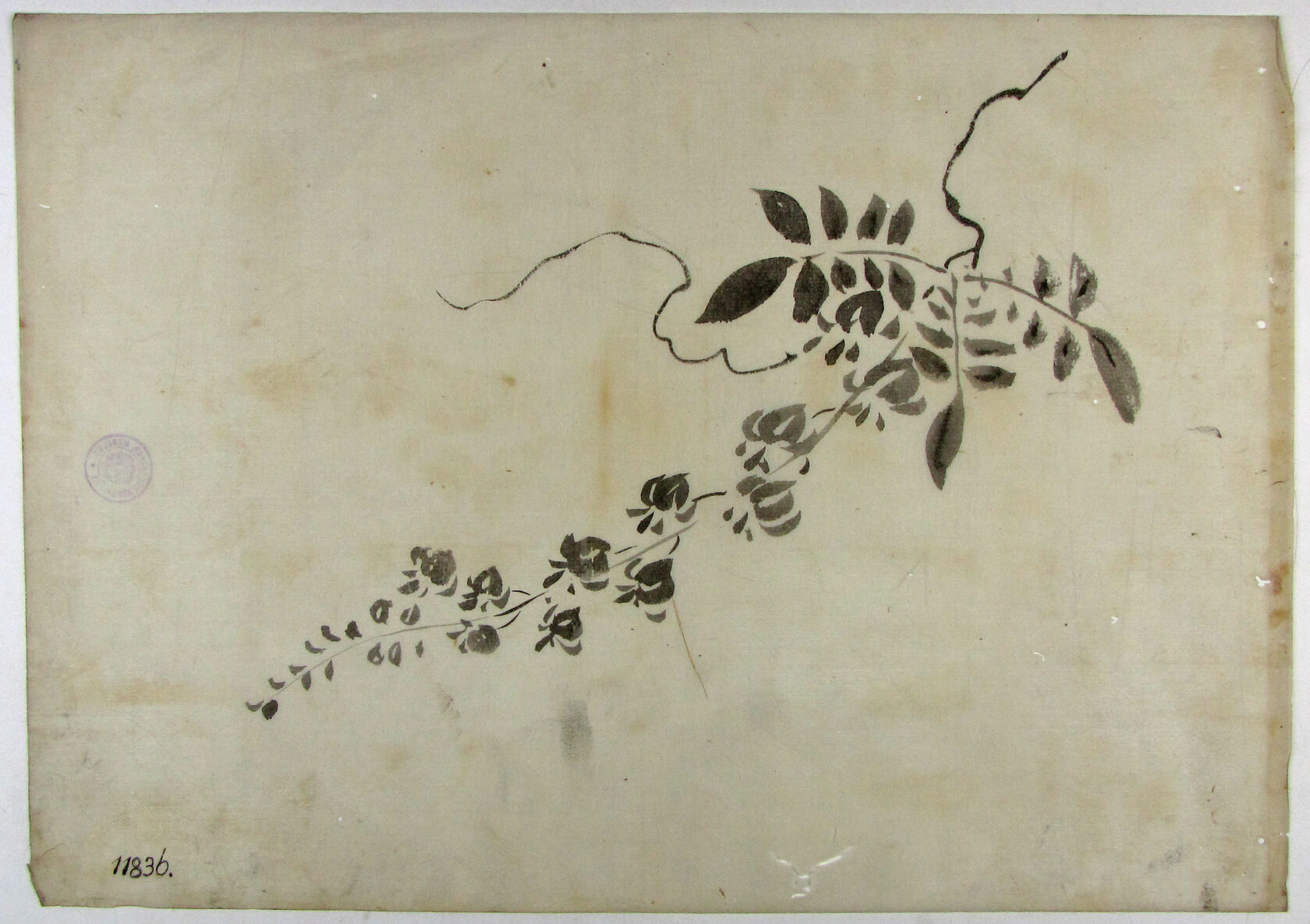 MAK/Johannes Wieninger