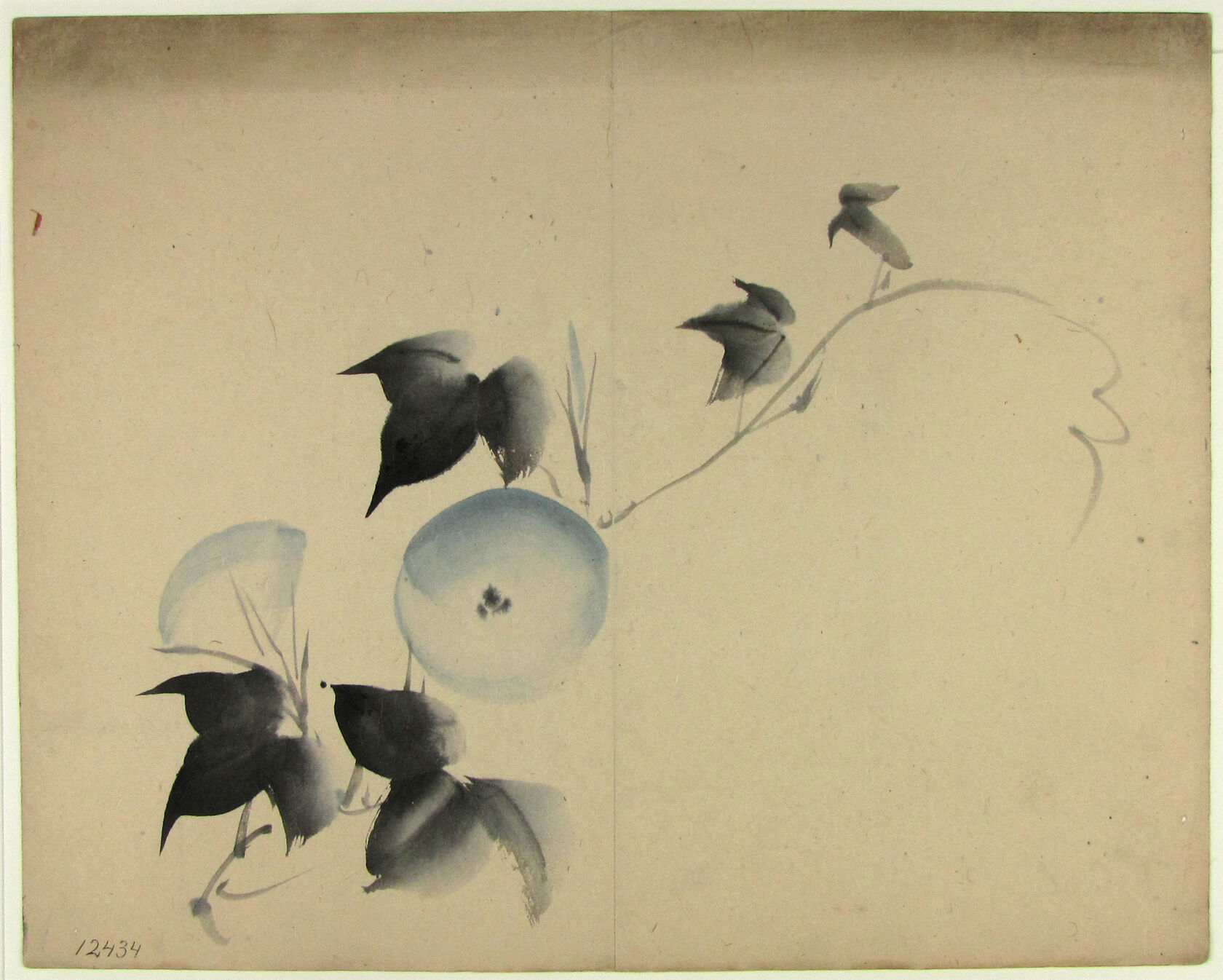 MAK/Johannes Wieninger