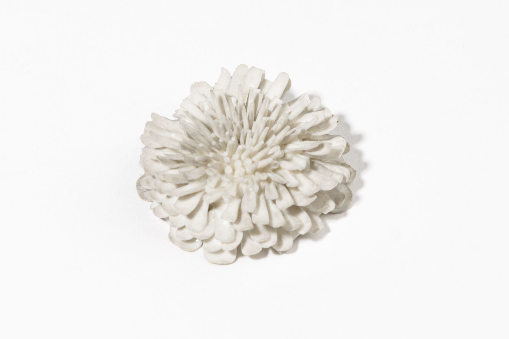 MAK/Katrin Wißkirchen