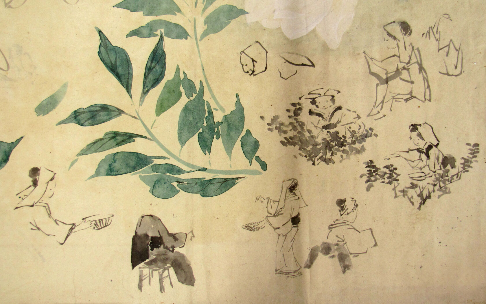 MAK/Johannes Wieninger