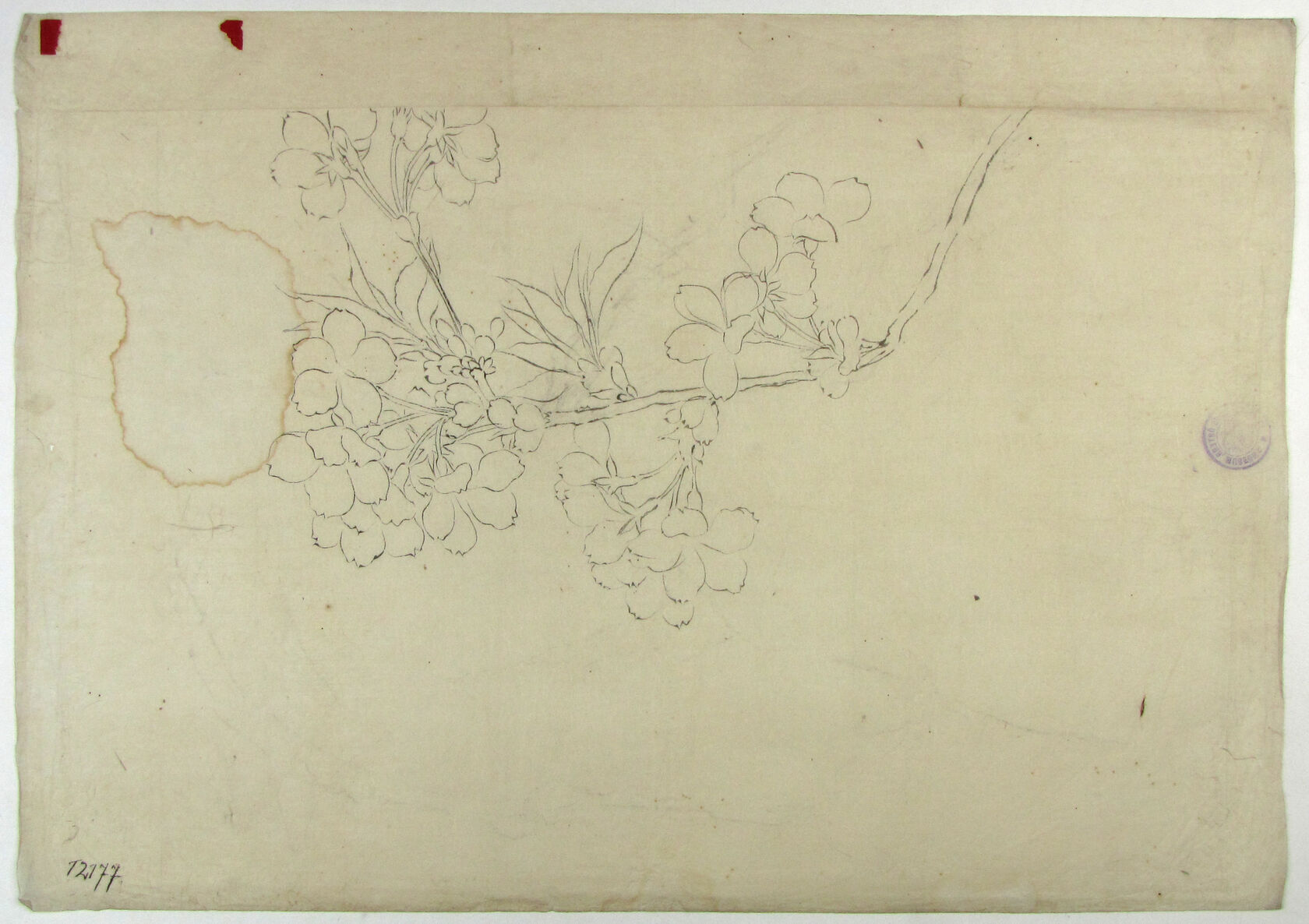 MAK/Johannes Wieninger
