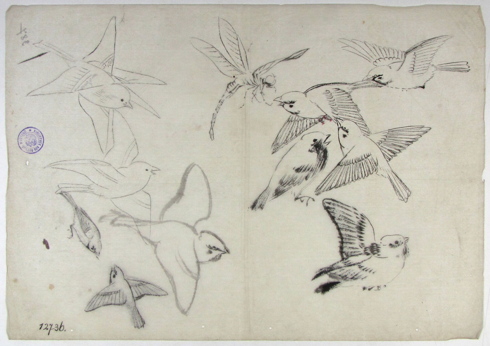 MAK/Johannes Wieninger