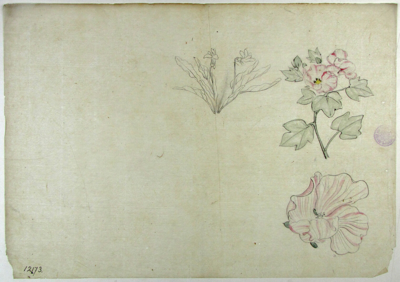MAK/Johannes Wieninger