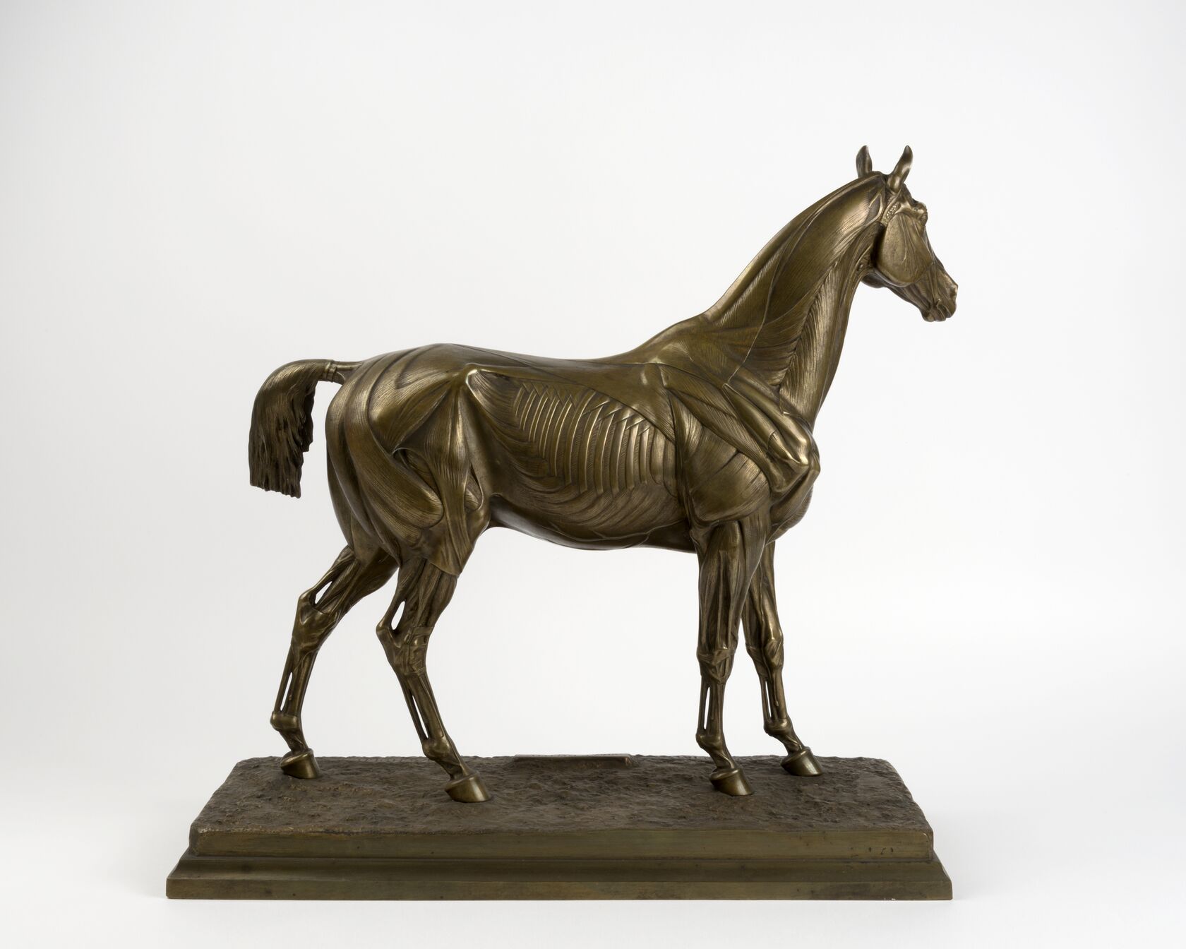 MAK/Aslan Kudrnofsky