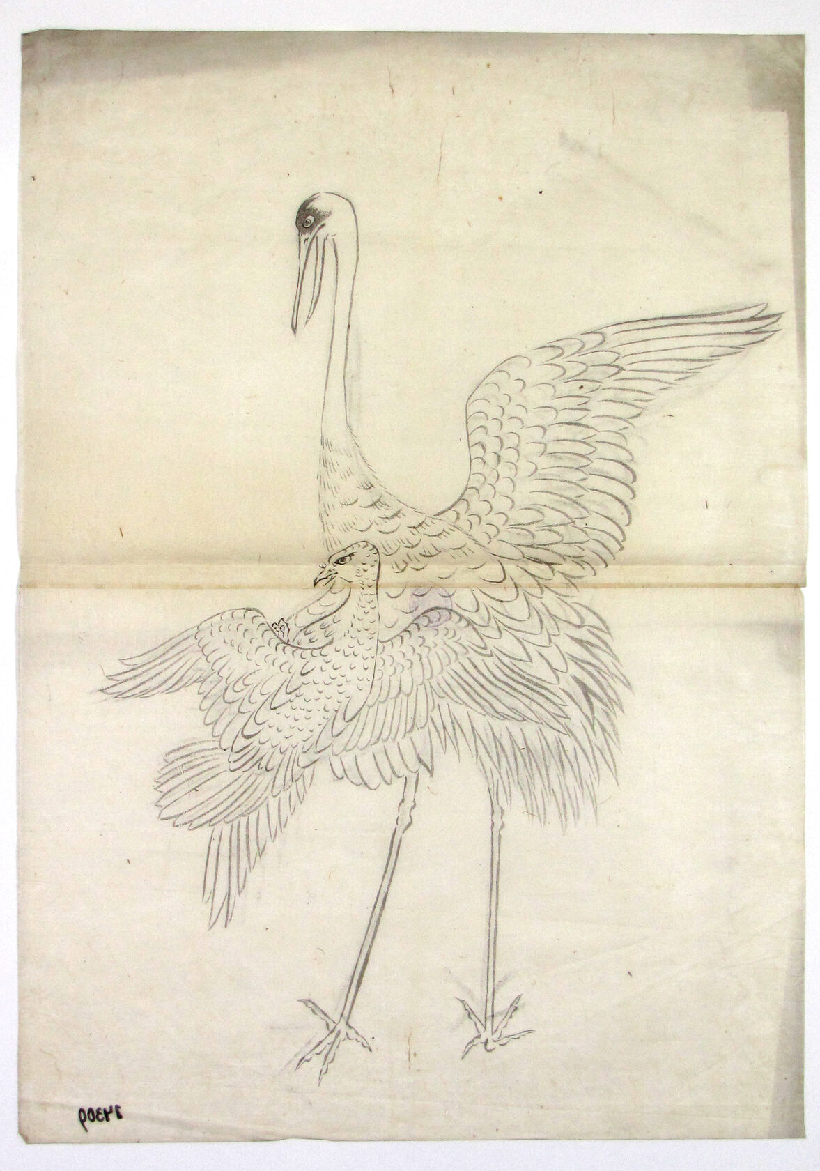 MAK/Johannes Wieninger