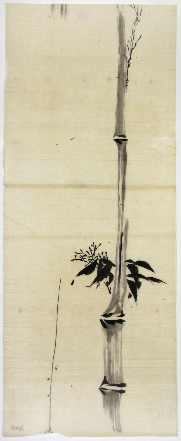 MAK/Johannes Wieninger