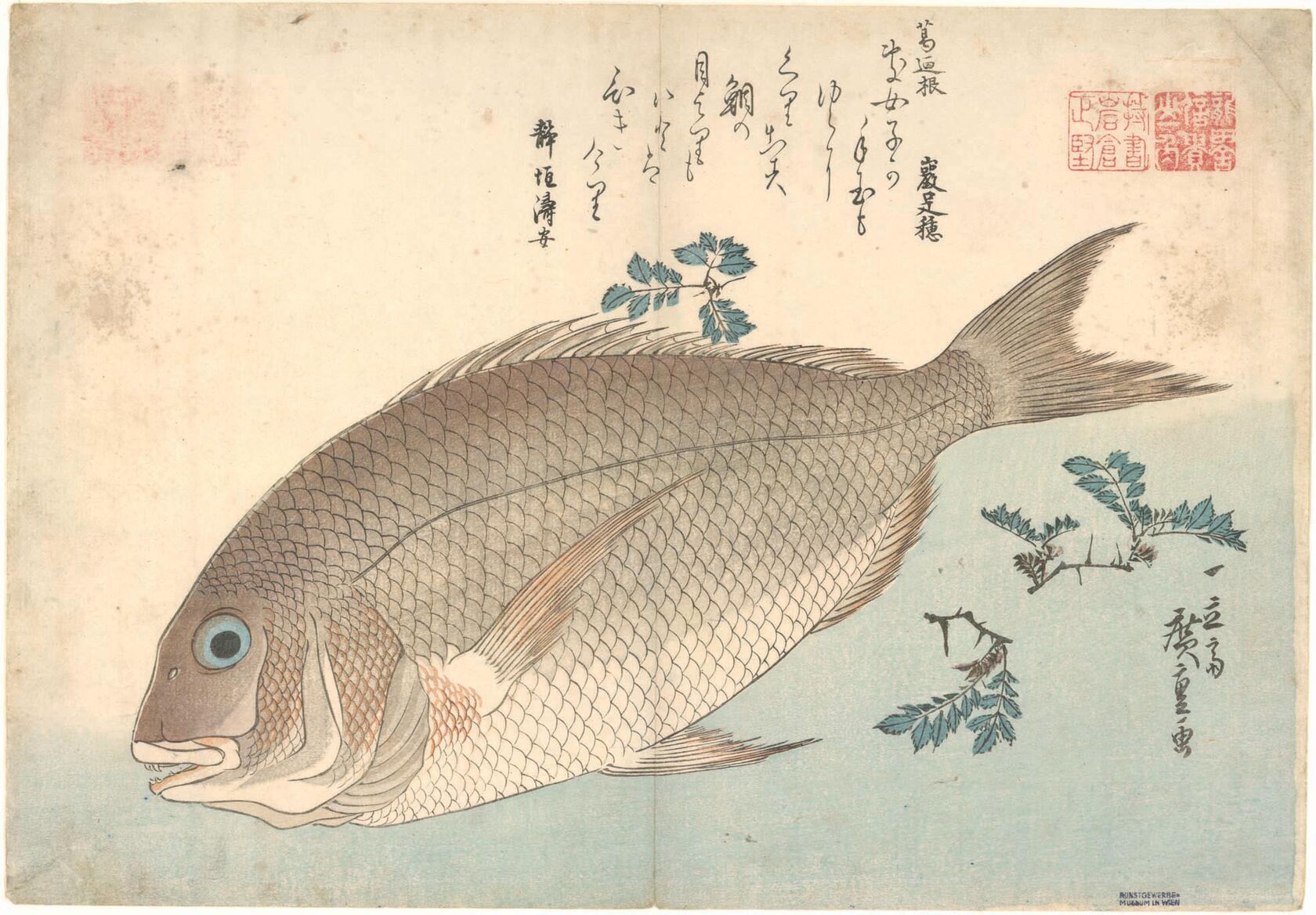 MAK/Johannes Wieninger