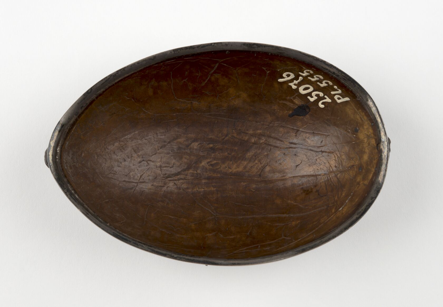 MAK/Aslan Kudrnofsky