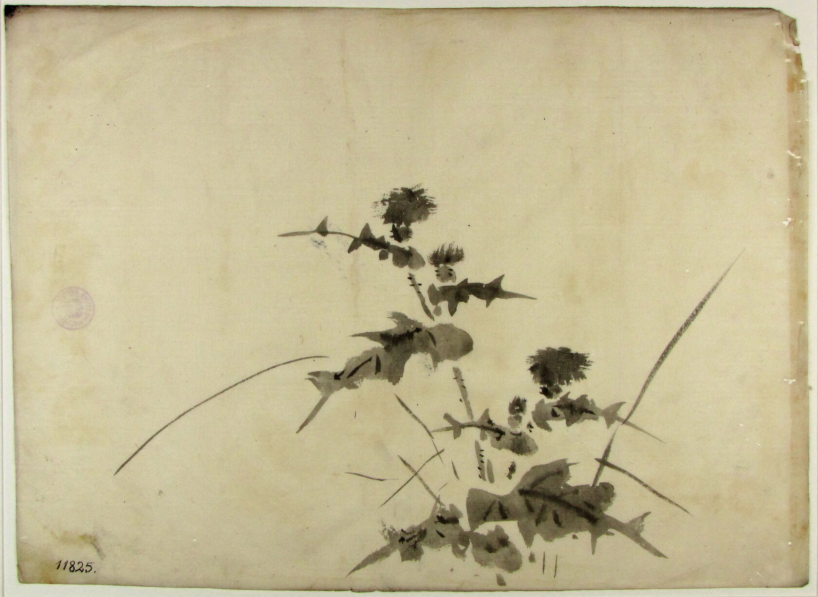 MAK/Johannes Wieninger