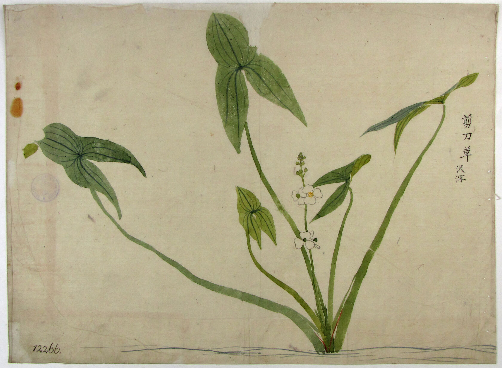 MAK/Johannes Wieninger
