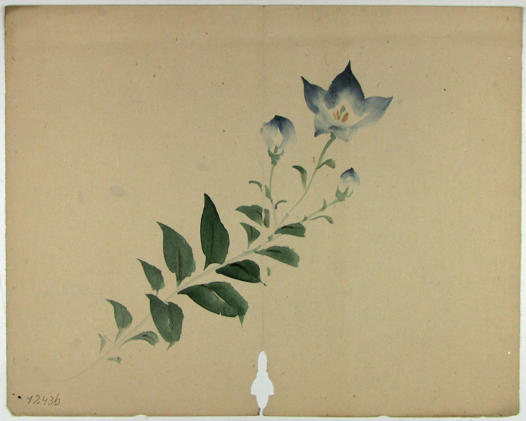 MAK/Johannes Wieninger