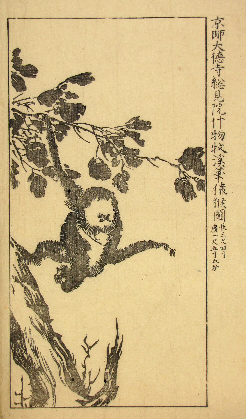 MAK/Johannes Wieninger