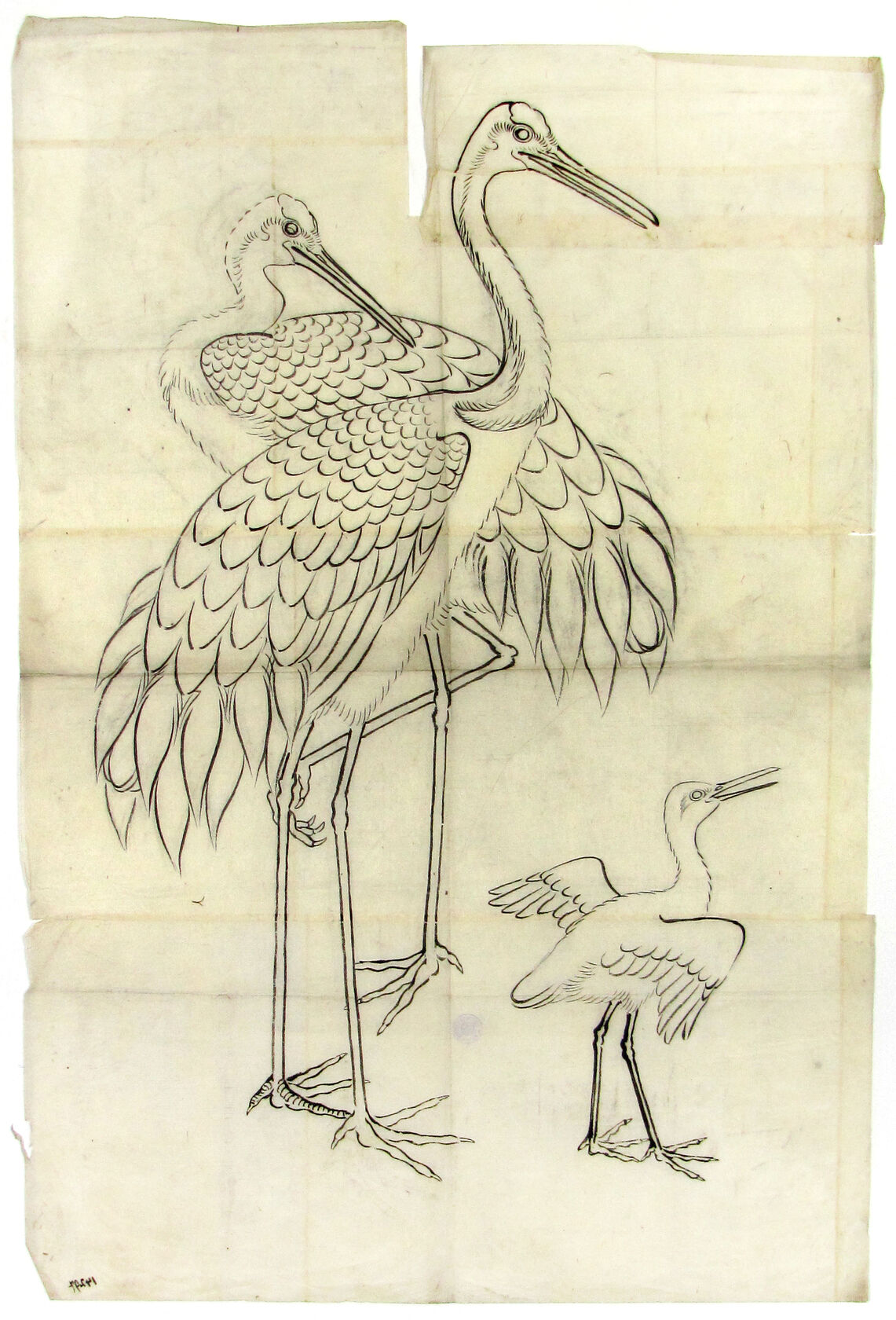 MAK/Johannes Wieninger