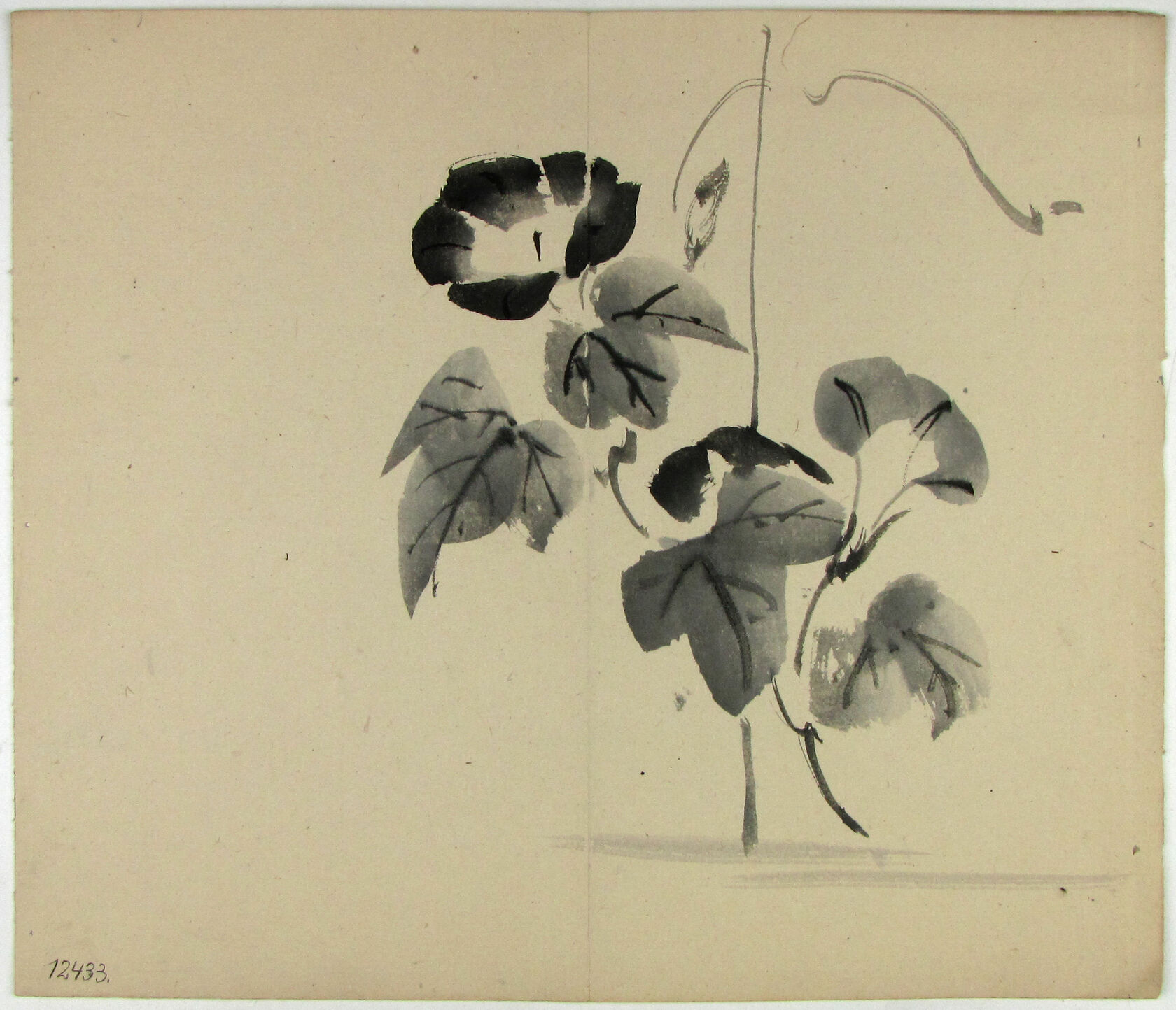 MAK/Johannes Wieninger