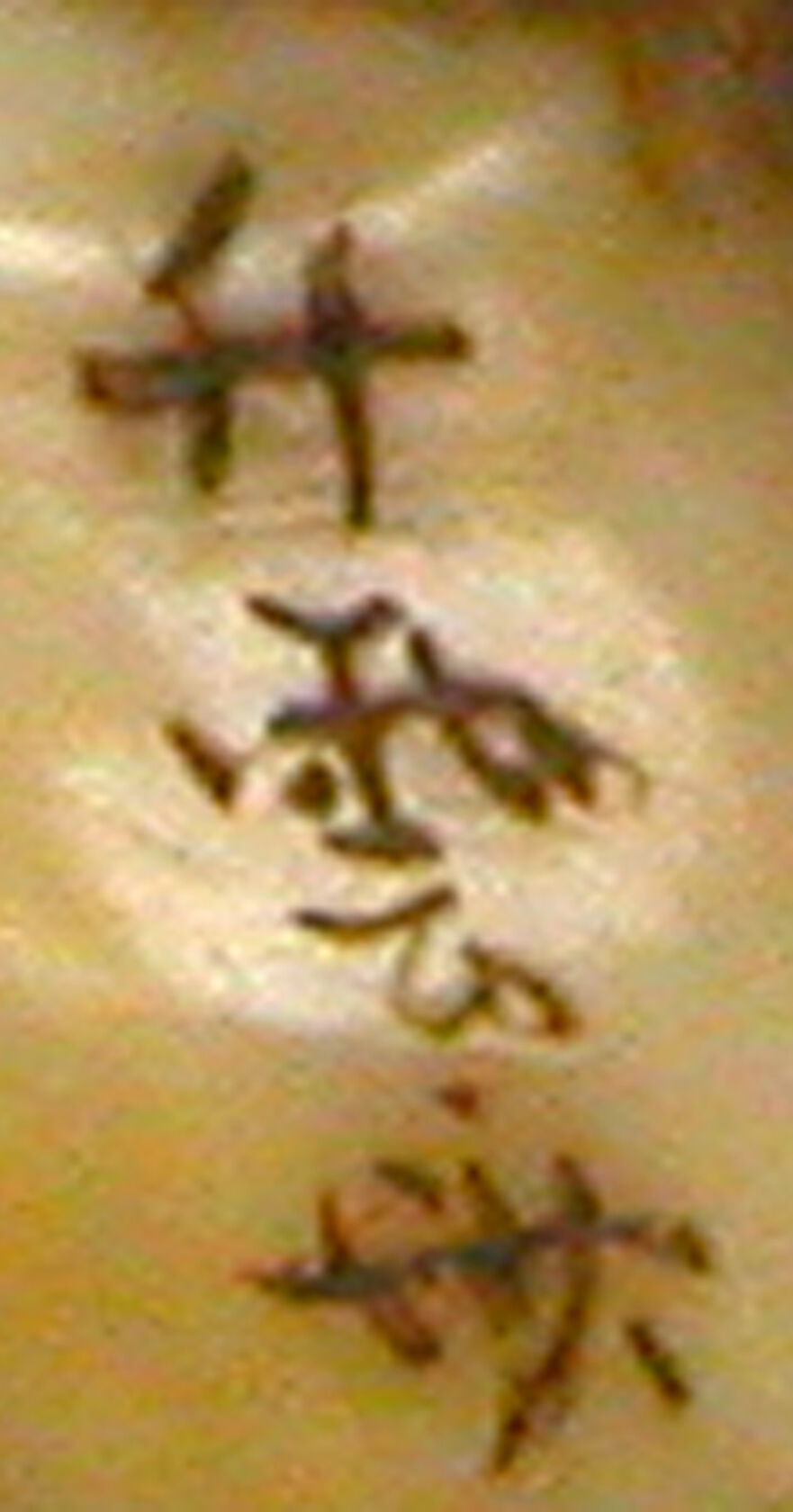 MAK/Johannes Wieninger