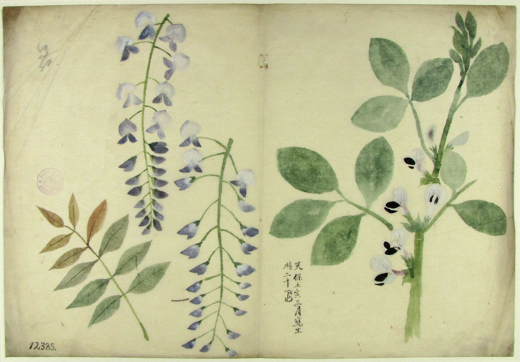 MAK/Johannes Wieninger