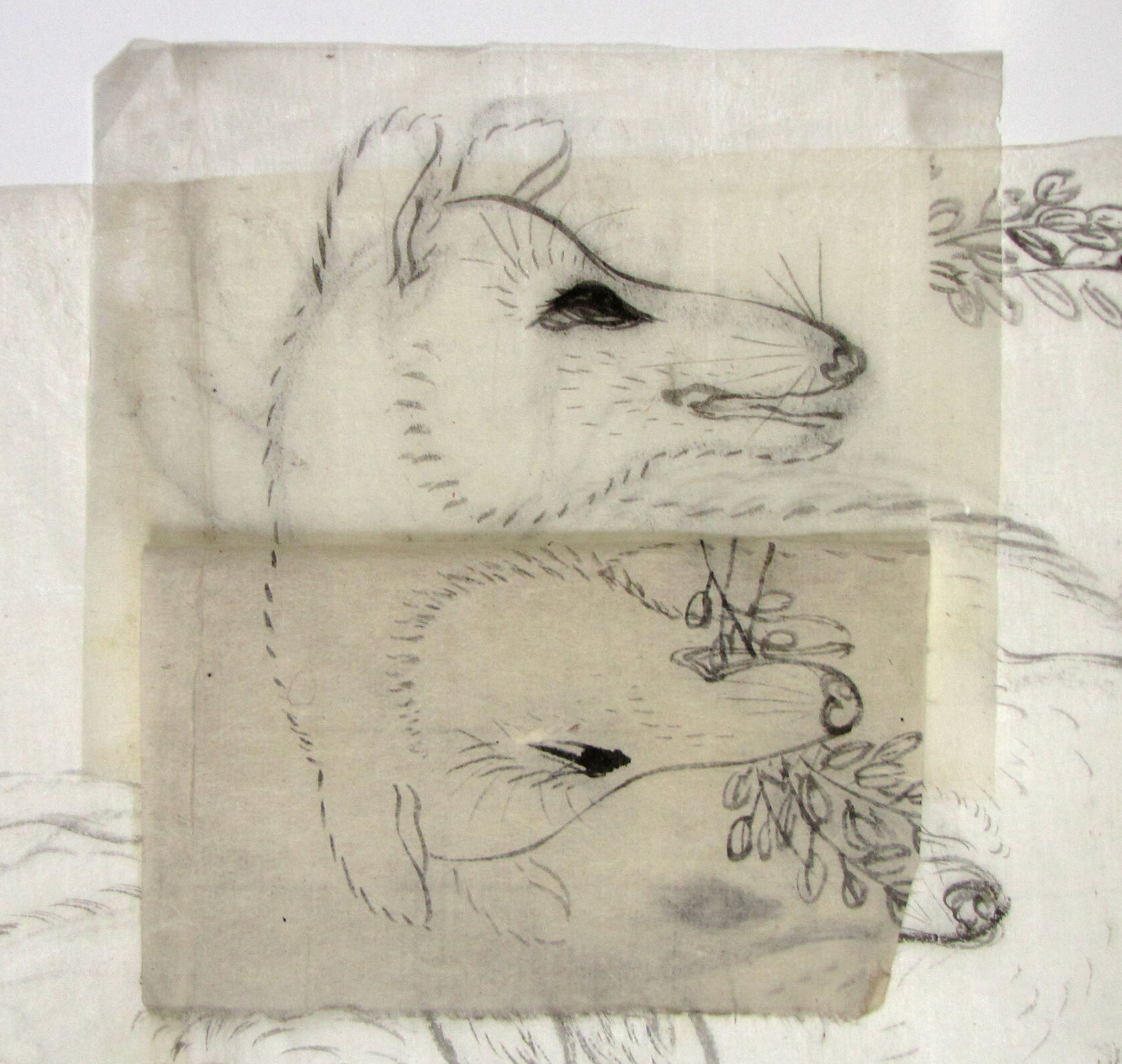 MAK/Johannes Wieninger